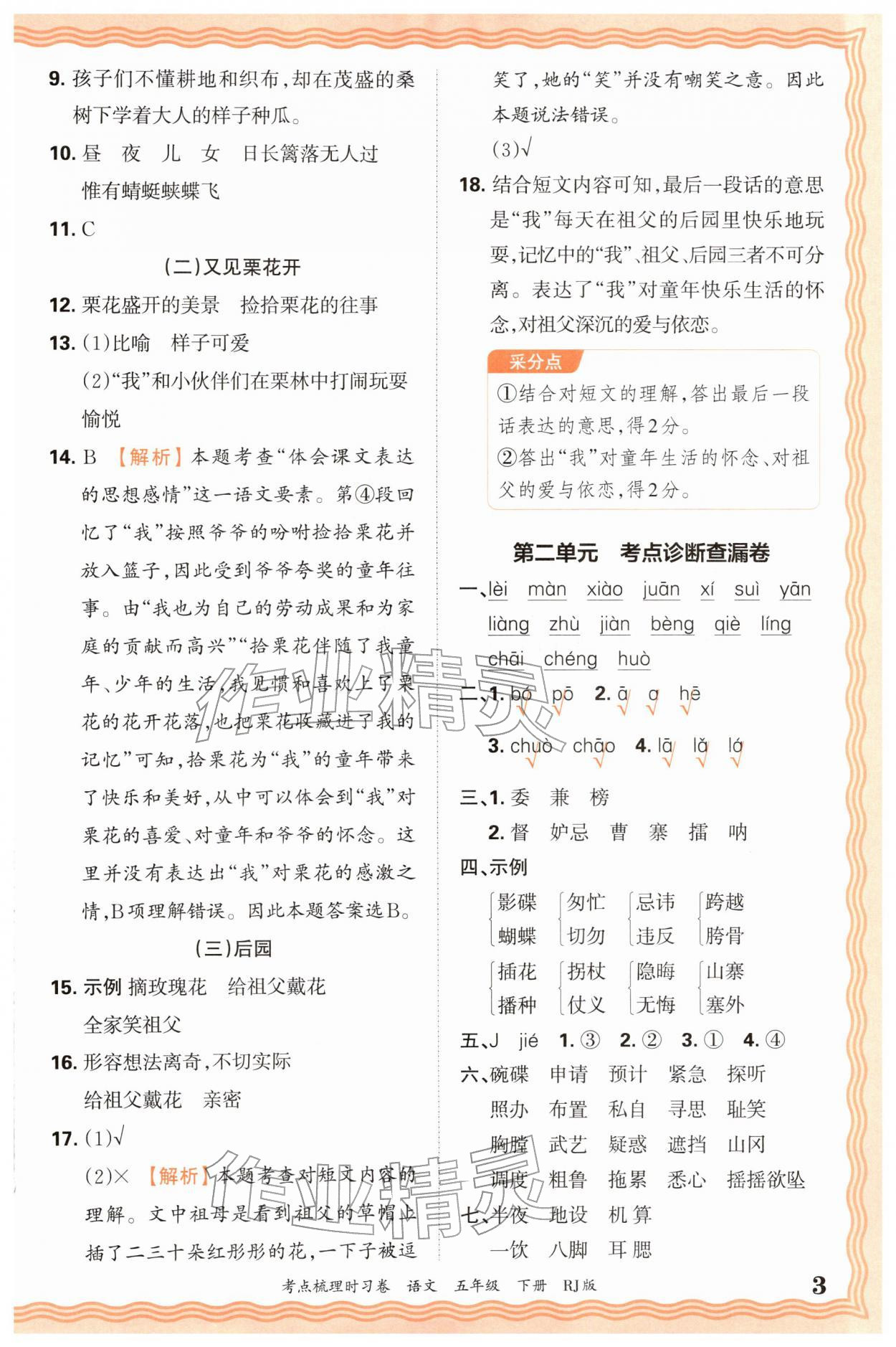 2026年王朝霞考点梳理时习卷五年级语文下册人教版&nbsp;第3页