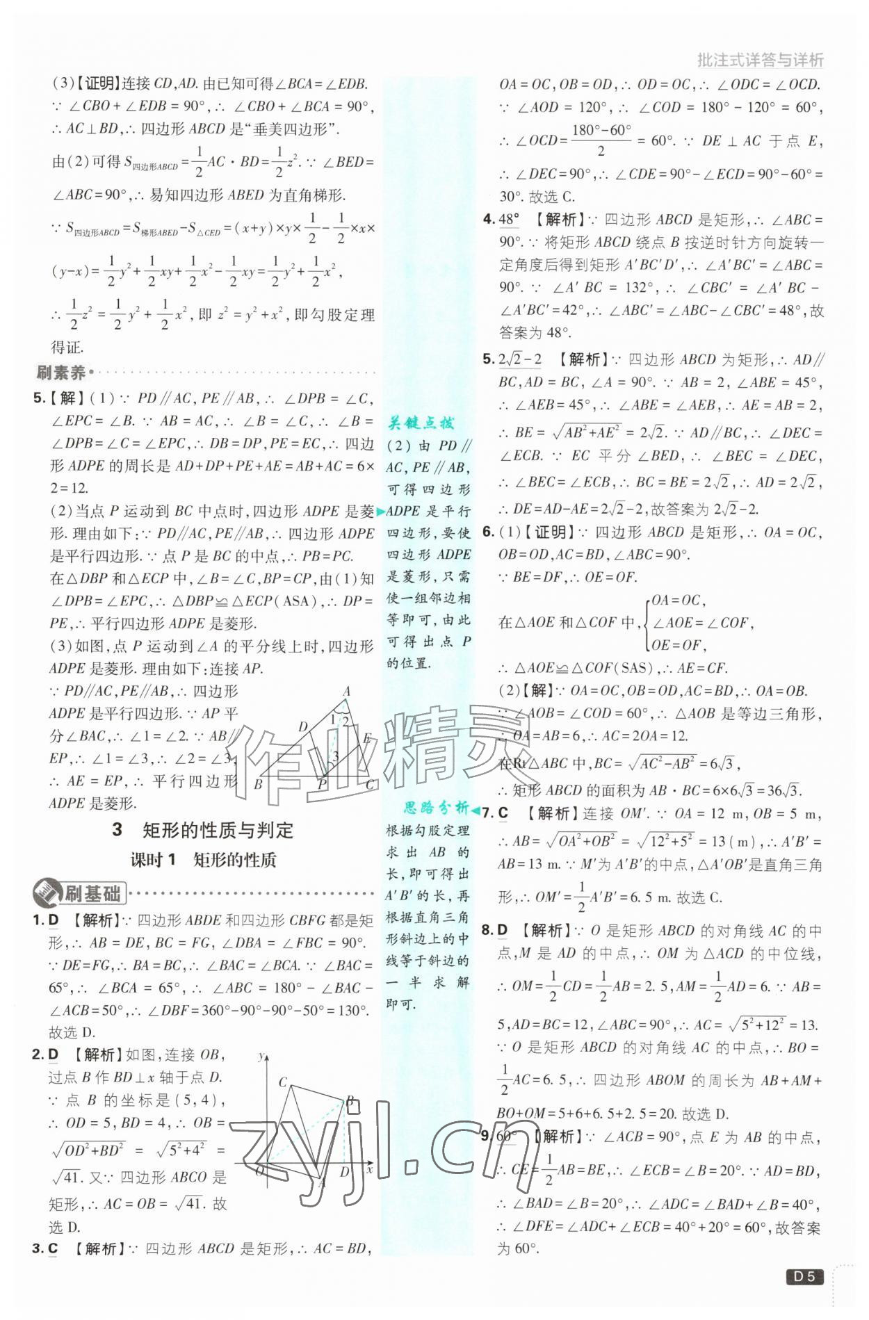 2026年初中必刷题九年级数学上册北师大版&nbsp;第5页