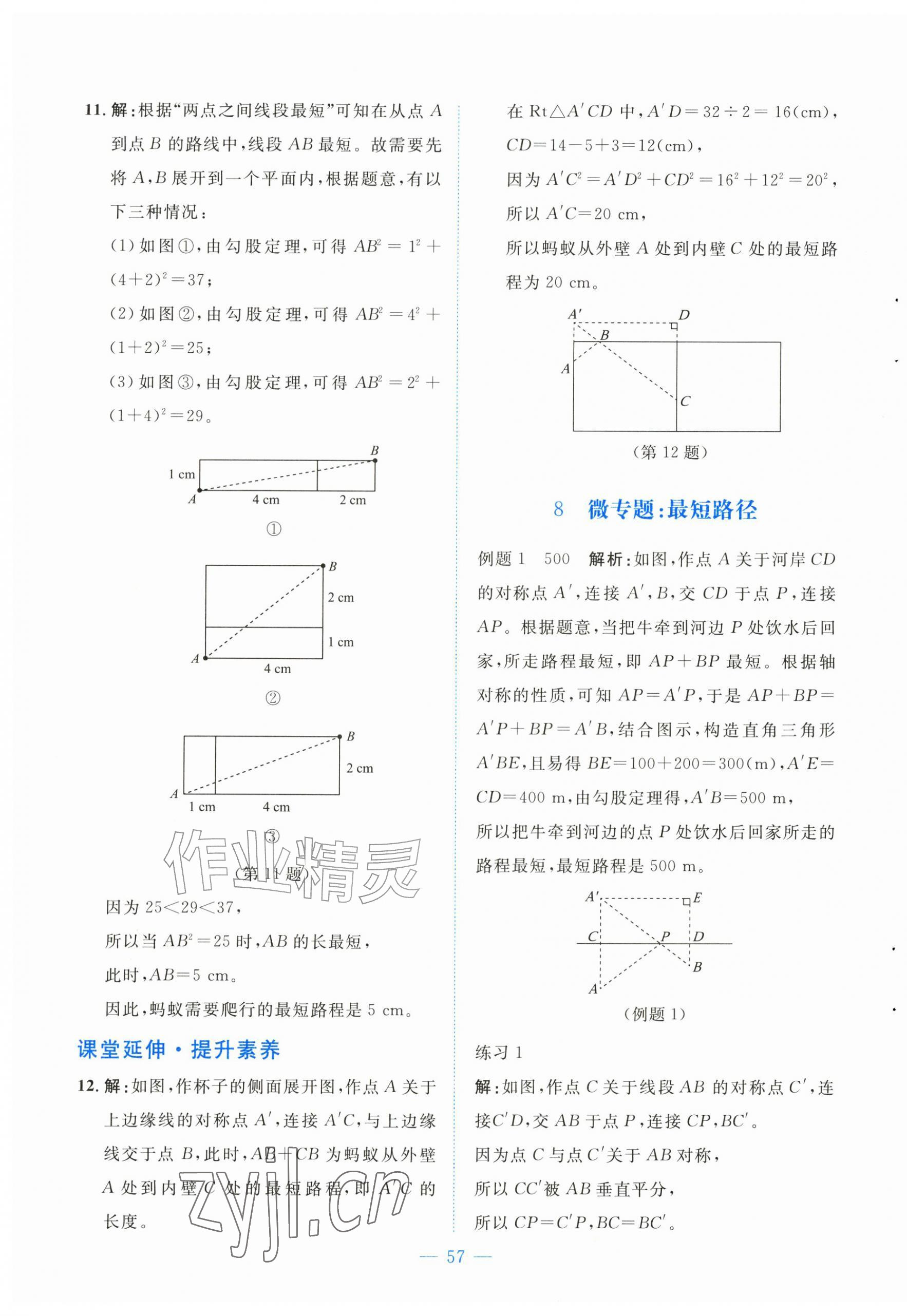 2026年课堂精练八年级数学上册北师大版黑龙江专版&nbsp;第5页