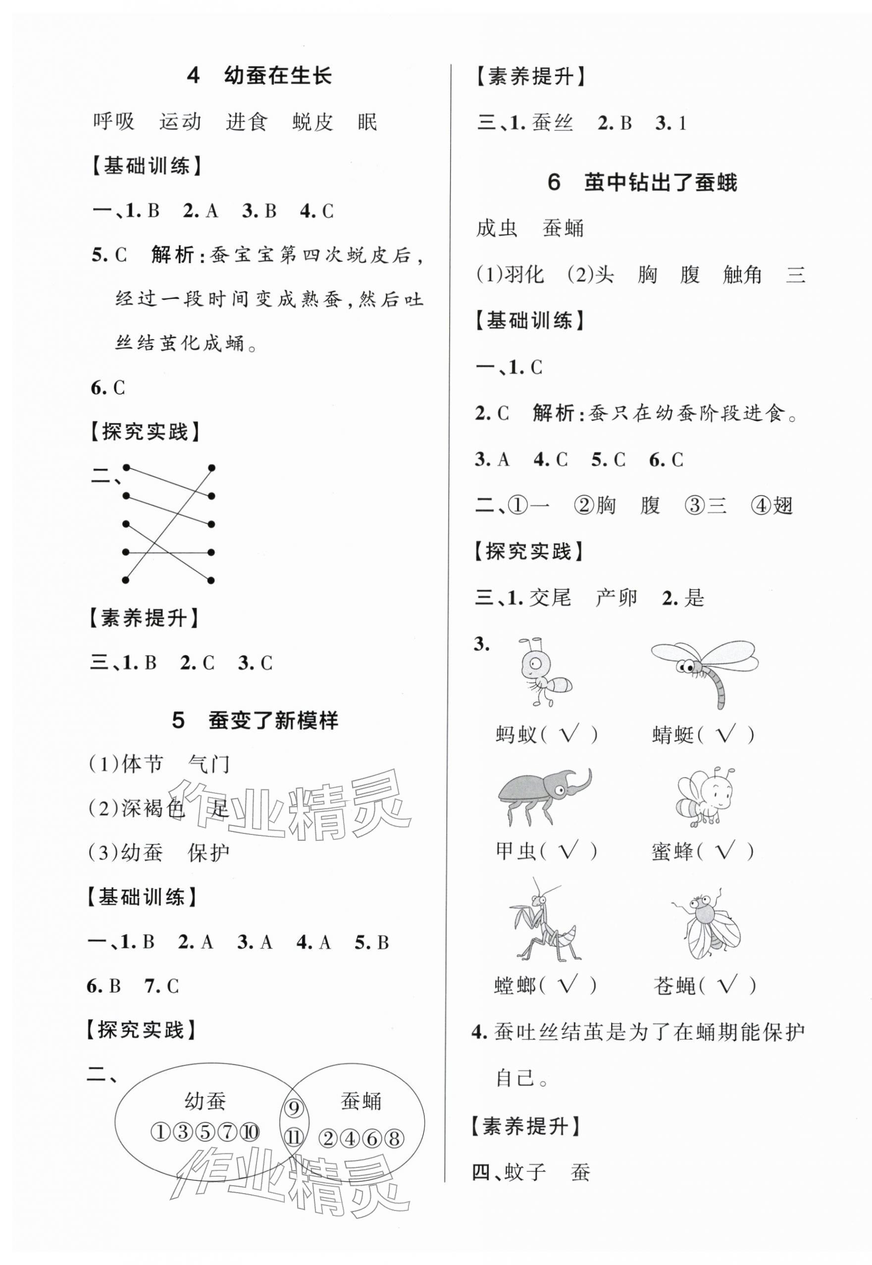 2026年小学学霸作业本三年级科学下册教科版浙江专版&nbsp;参考答案第5页