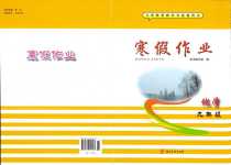 2024年寒假作業河北美術出版社九年級化學