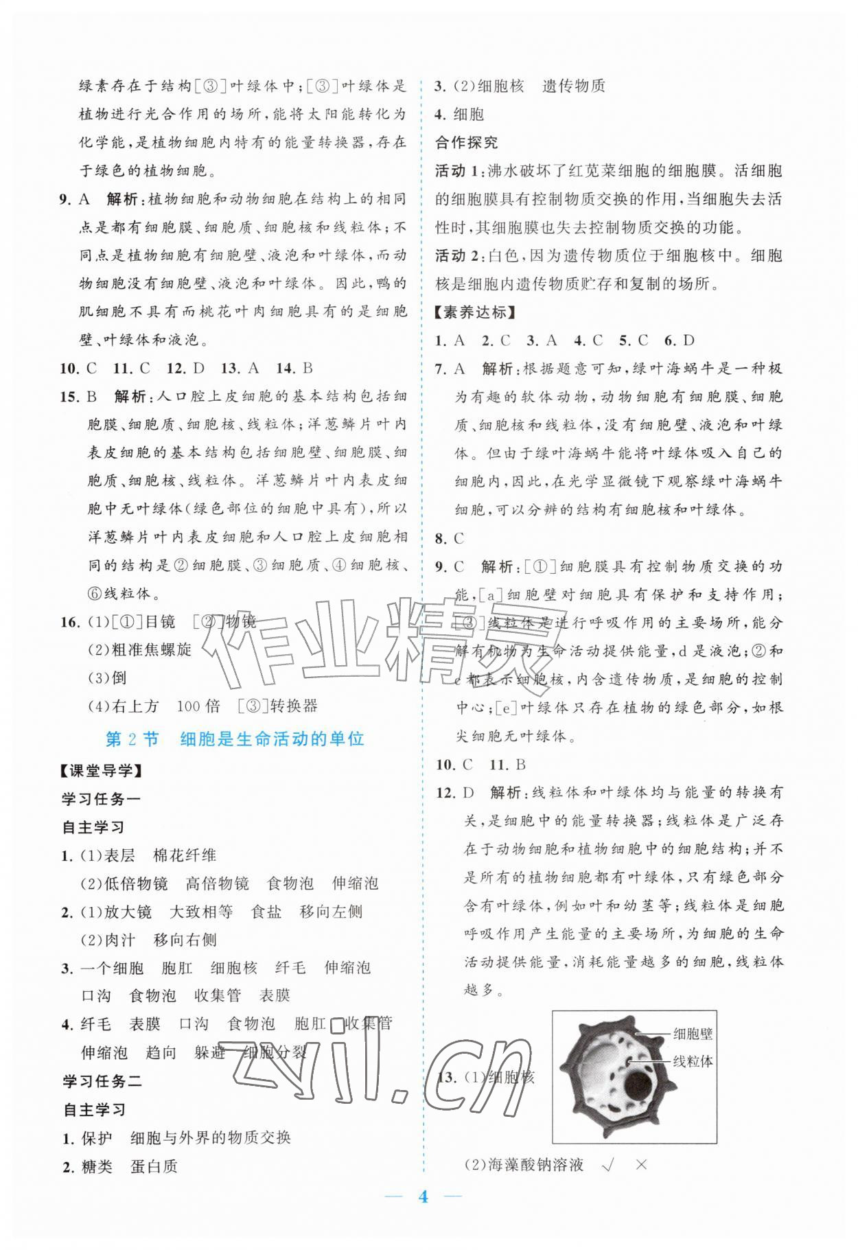 2026年新课程同步练习册七年级生物上册北师大版&nbsp;参考答案第4页