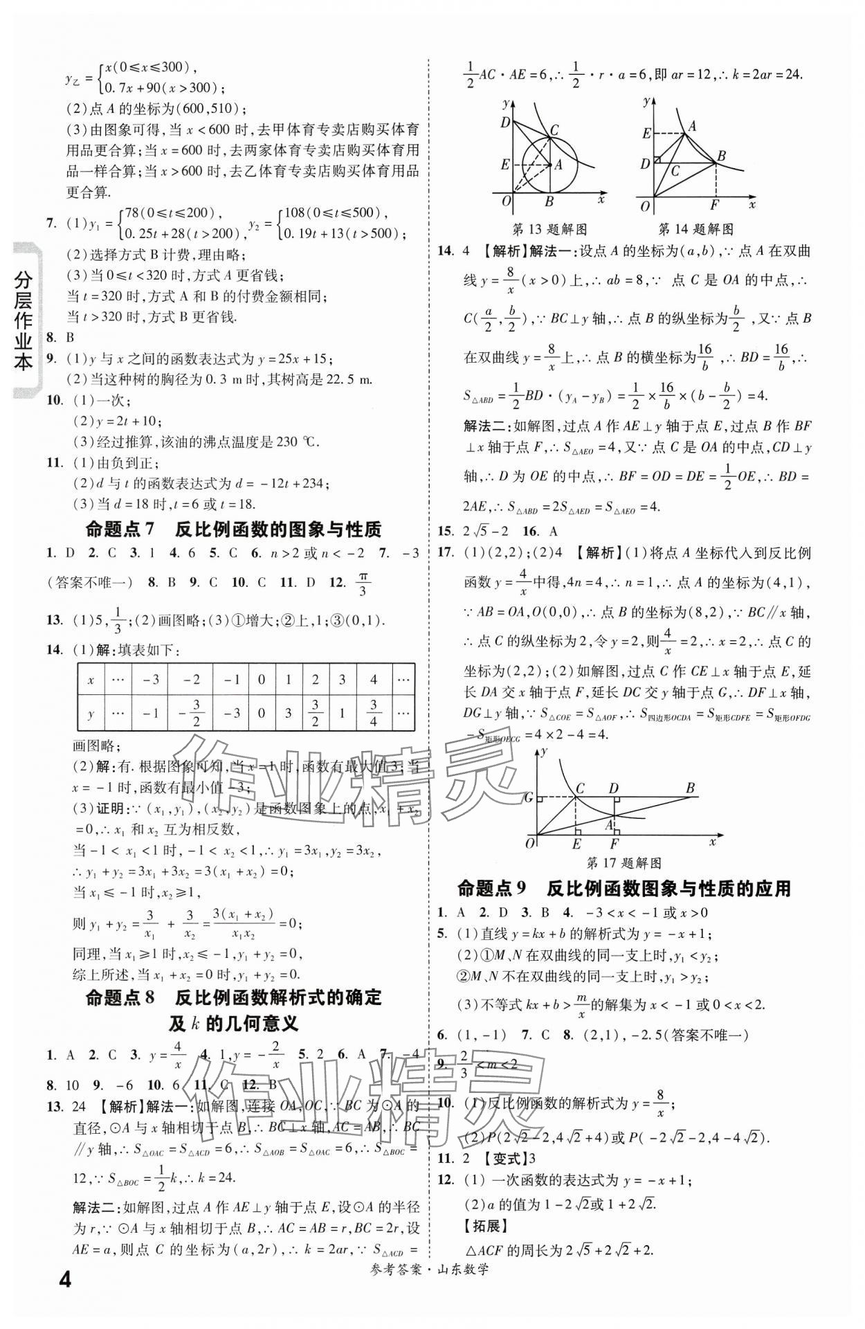 2024年一战成名新中考数学山东专版&nbsp;第4页
