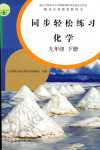 2024年同步輕松練習九年級化學下冊人教版