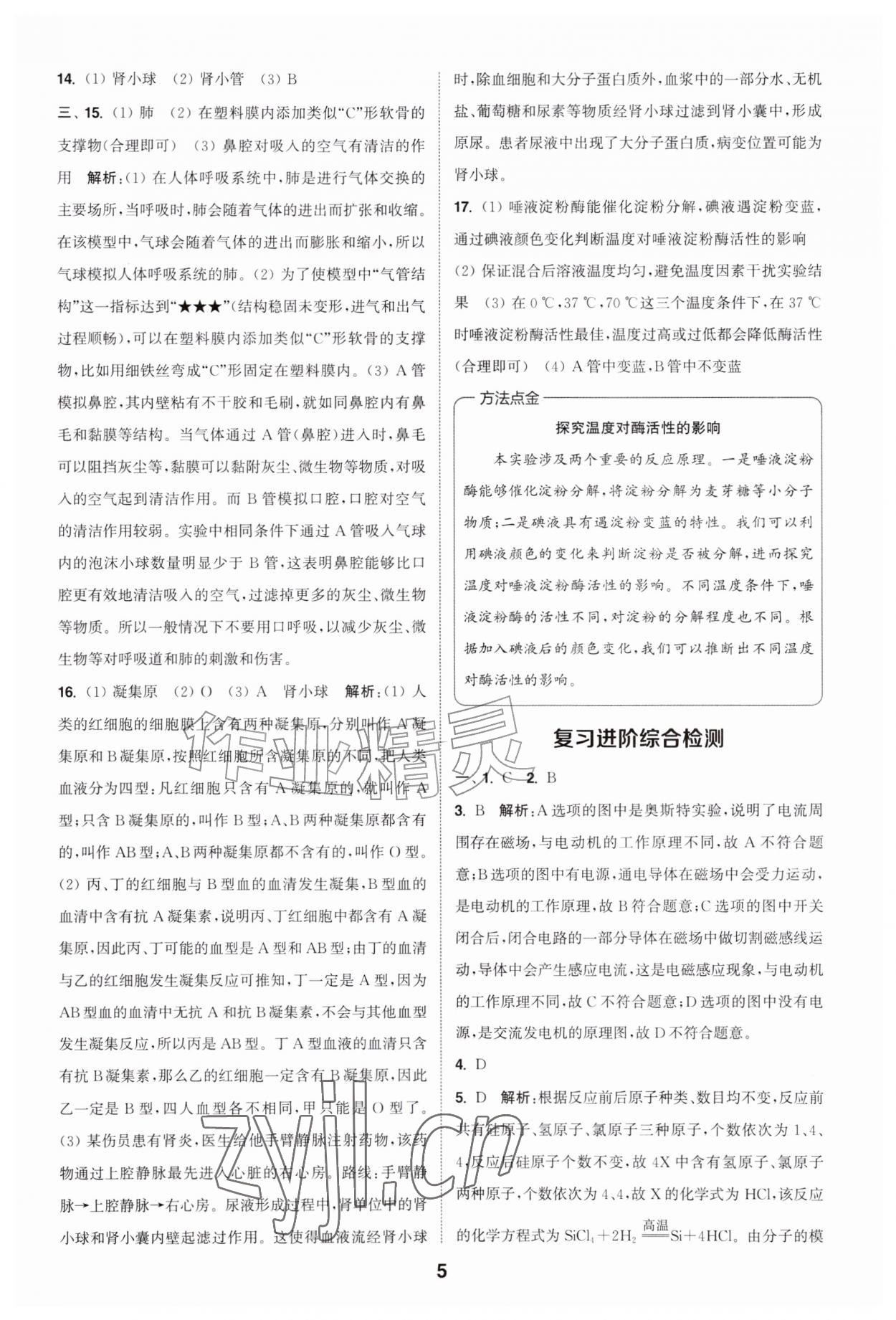 2026年暑期升级训练浙江教育出版社八年级科学浙教版&nbsp;第5页
