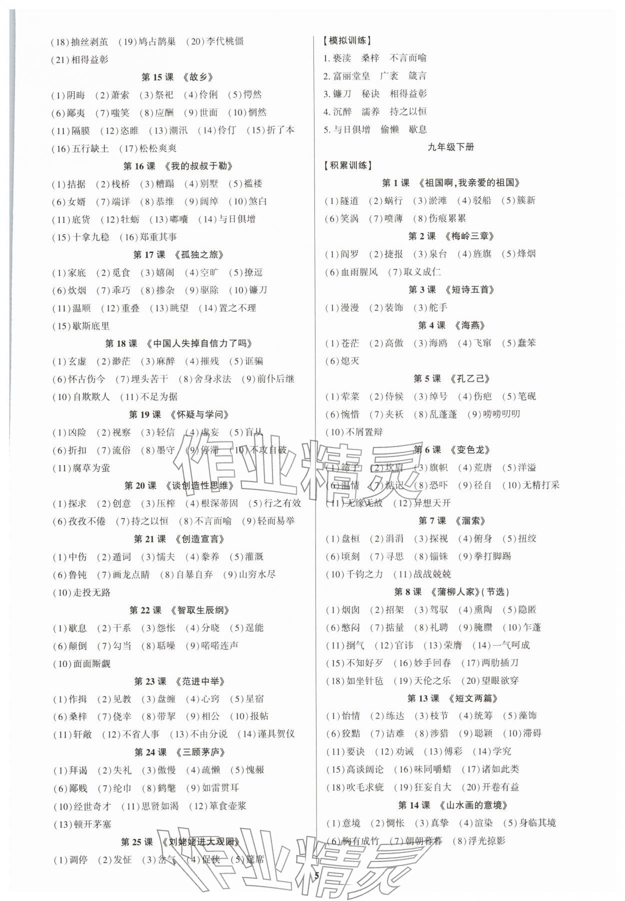 2026年初中新结构综合复习语文中考广东专版&nbsp;第7页