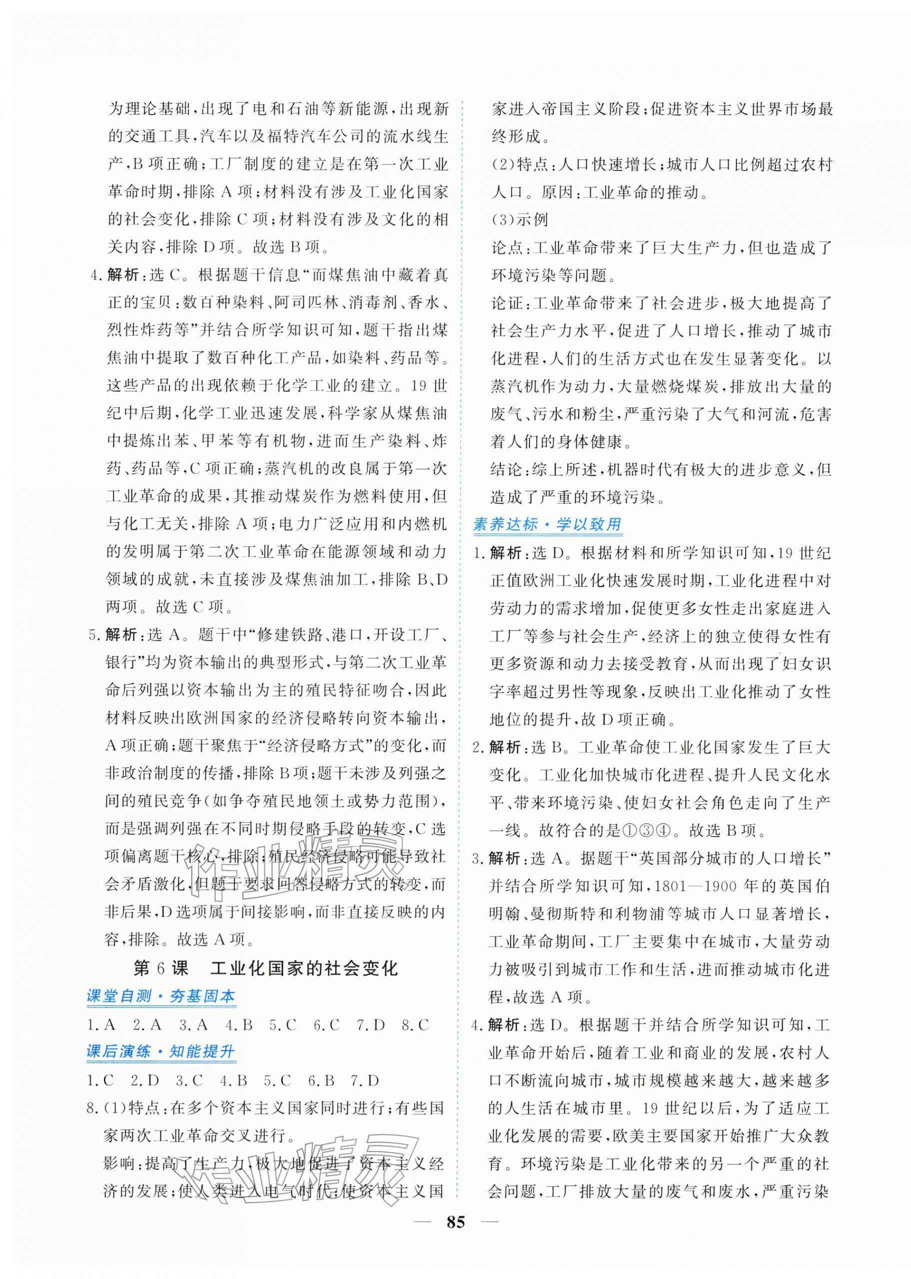 2026年新坐标同步练习九年级历史下册人教版青海专用&nbsp;第5页