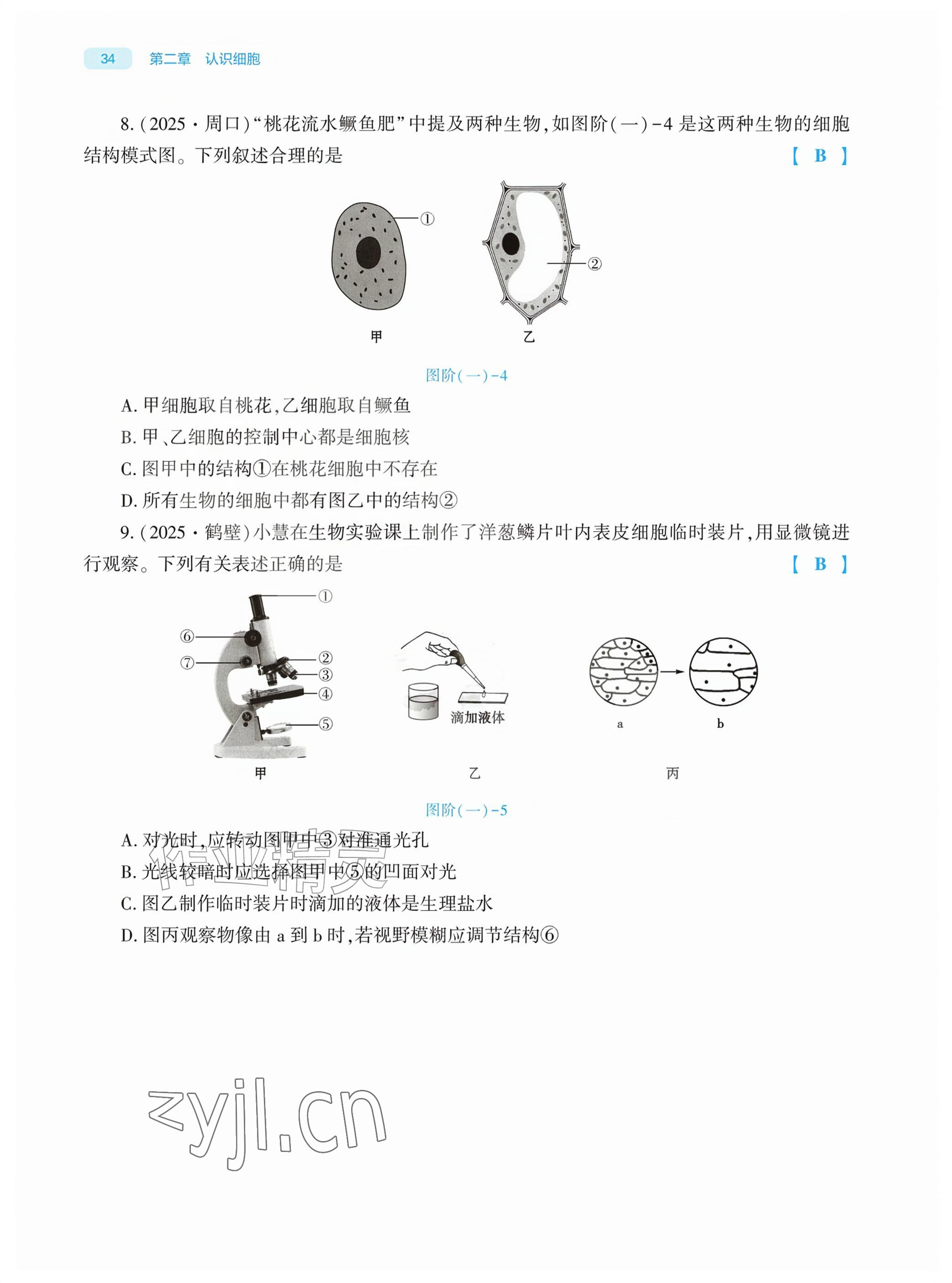 2026年基础训练大象出版社七年级生物上册人教版&nbsp;参考答案第34页