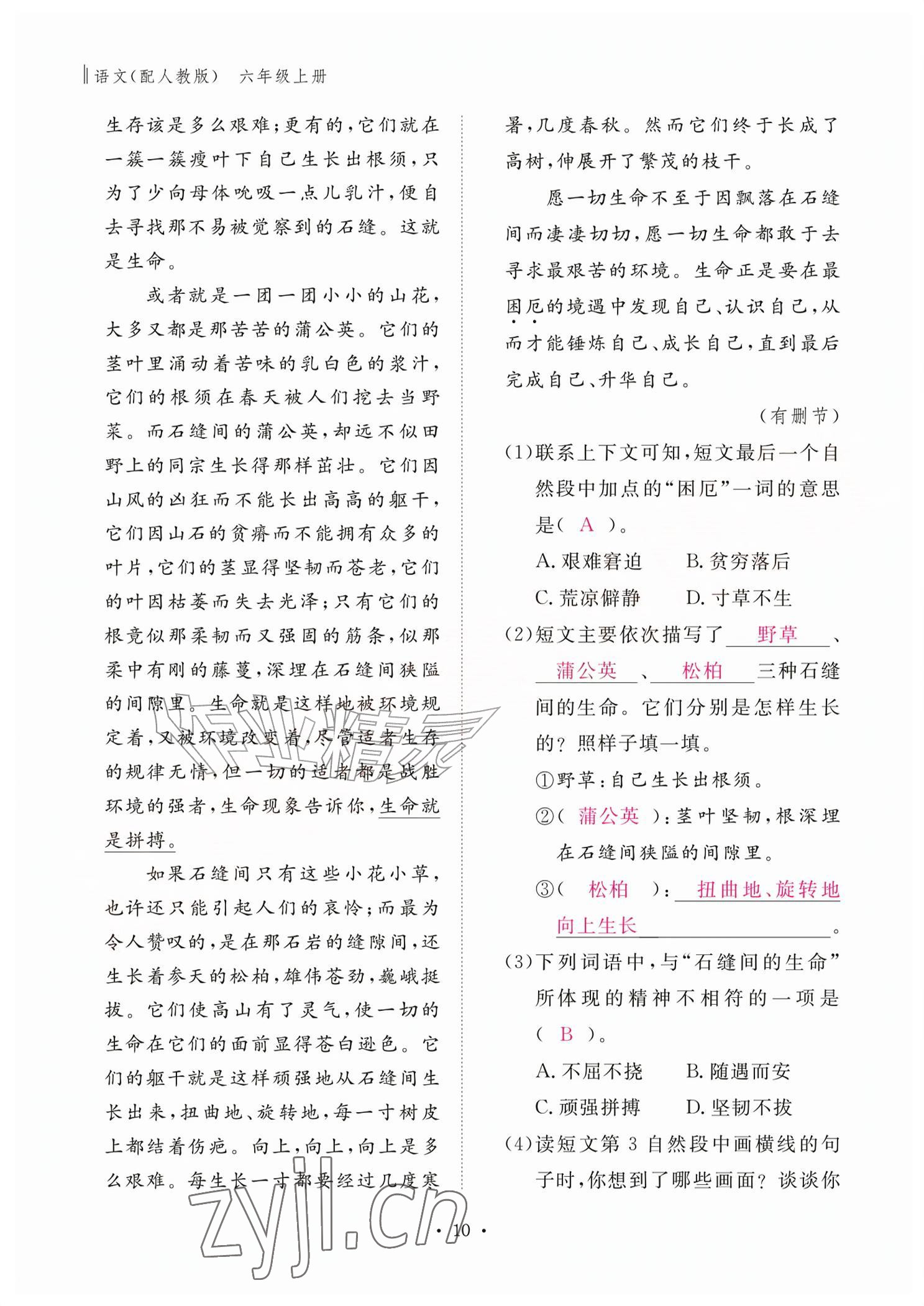 2026年作业本江西教育出版社六年级语文上册人教版&nbsp;参考答案第10页