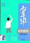 2024年少年班九年級(jí)數(shù)學(xué)下冊(cè)滬科版