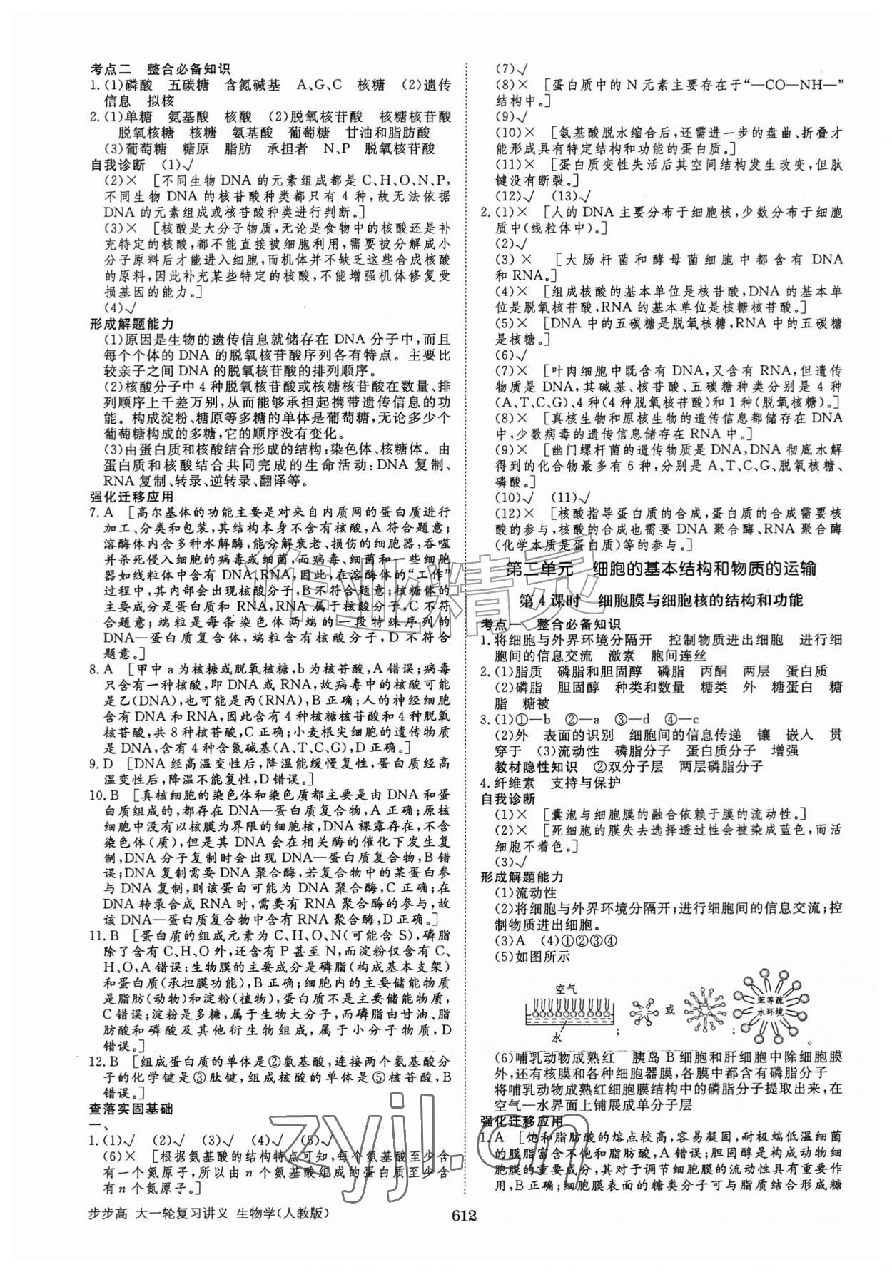 2026年步步高大一轮复习讲义高中生物人教版&nbsp;第4页
