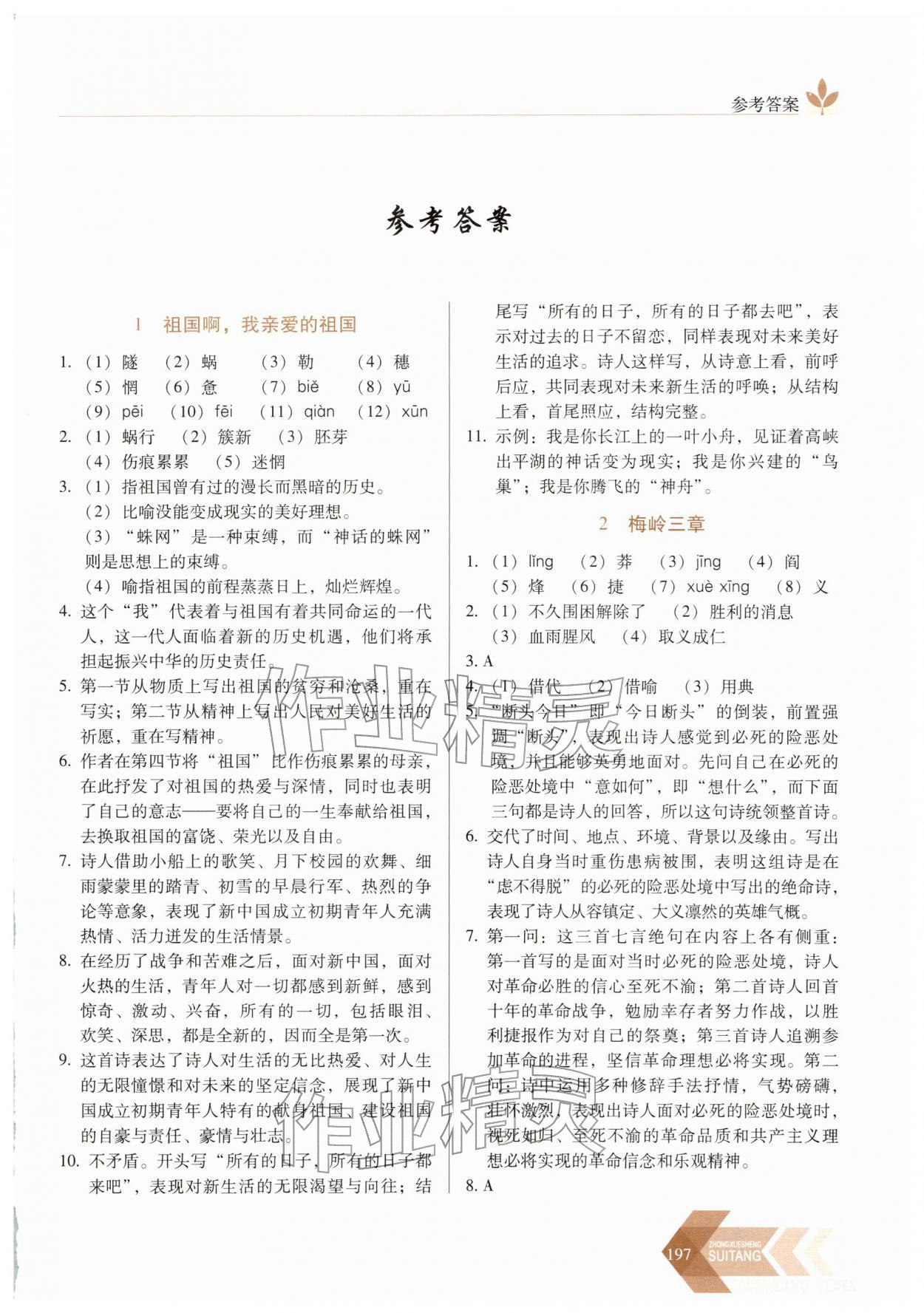 2026年随堂同步练习九年级语文下册人教版&nbsp;第1页