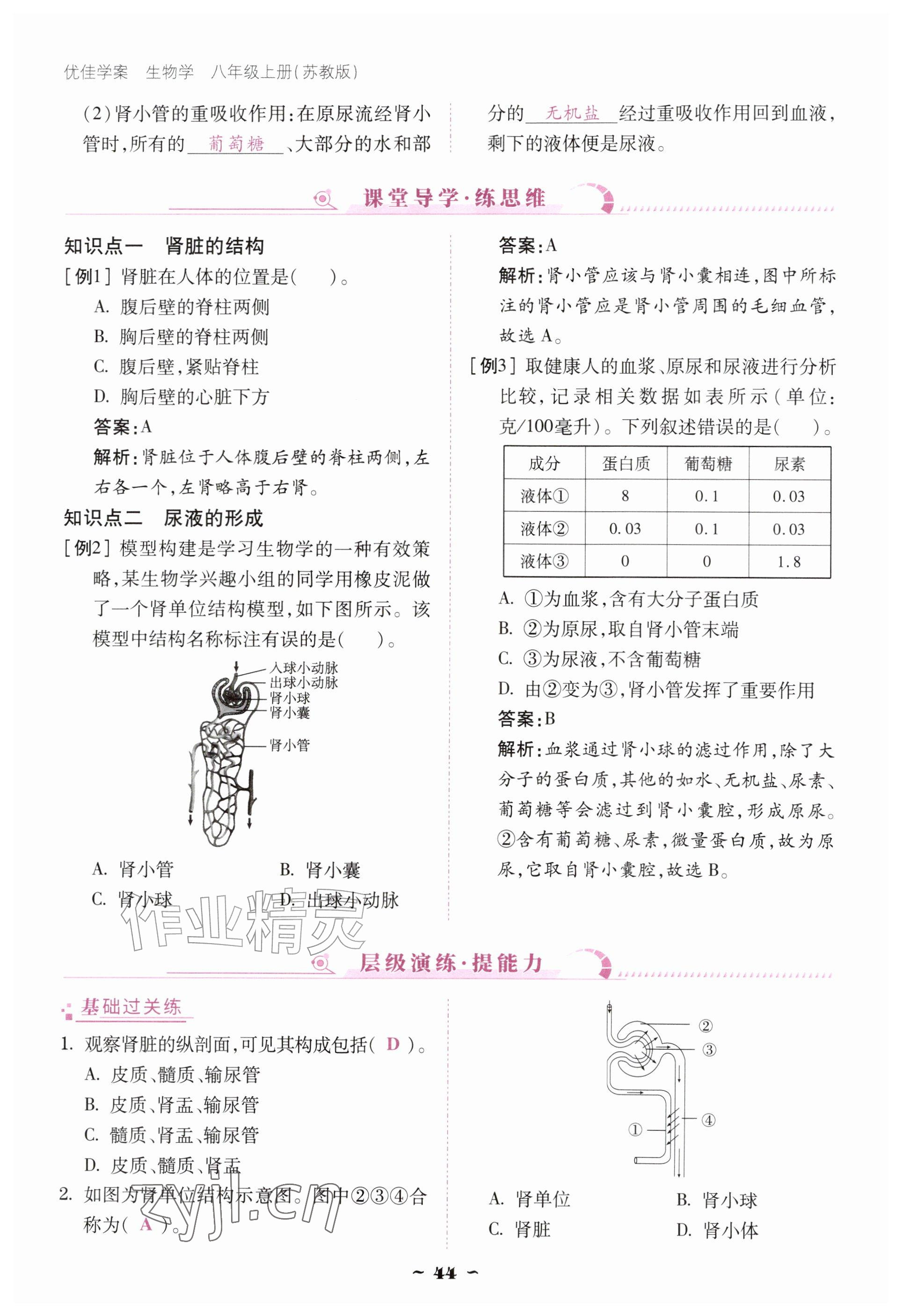 2026年优佳学案（云南）八年级生物上册苏教版&nbsp;参考答案第44页