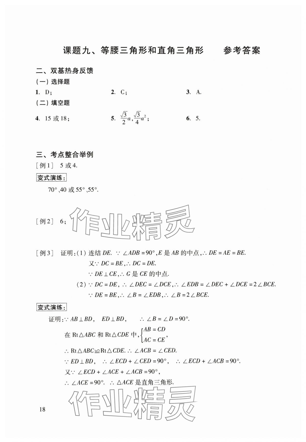 2025年初中数学复习点要初三总复习&nbsp;参考答案第18页