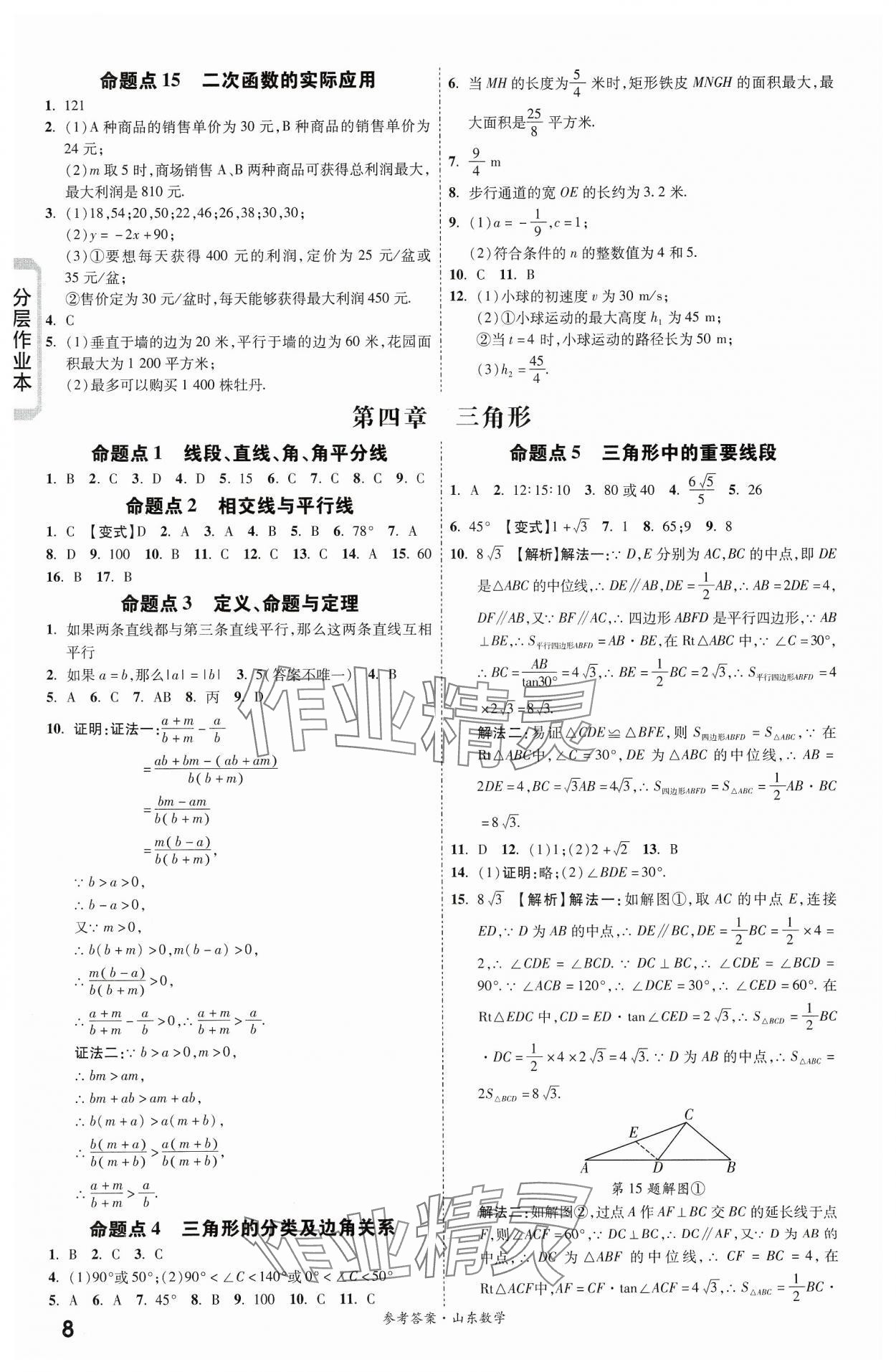 2024年一战成名新中考数学山东专版&nbsp;第8页