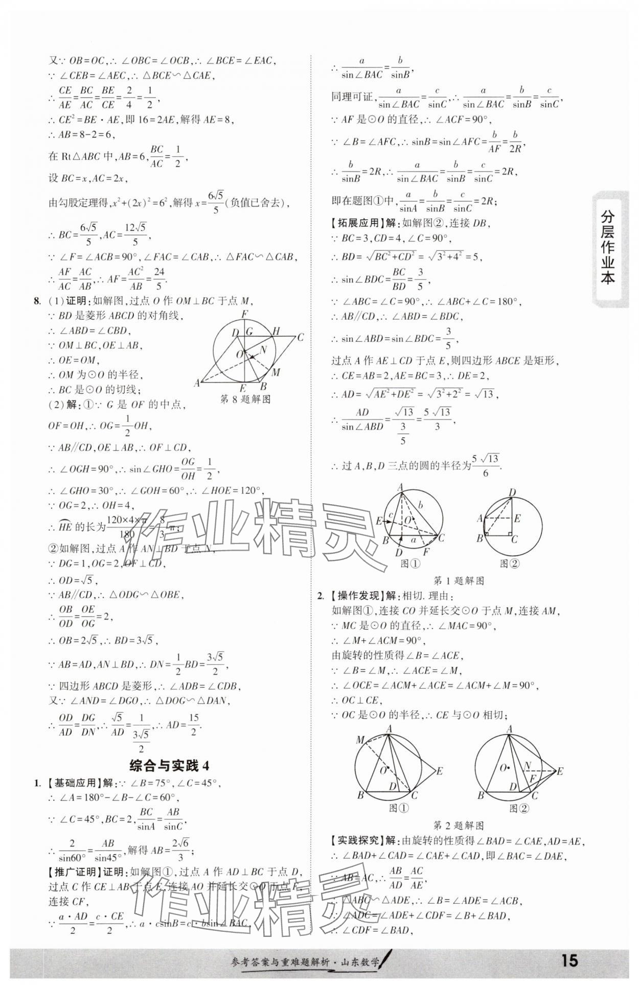 2025年一战成名考前新方案数学山东专版&nbsp;参考答案第14页
