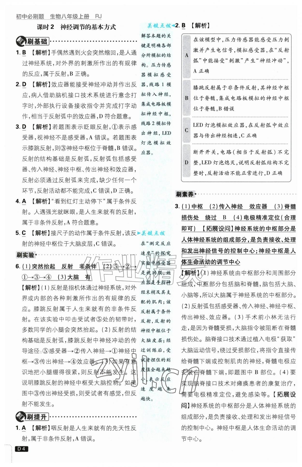 2026年初中必刷题八年级生物上册人教版&nbsp;第4页
