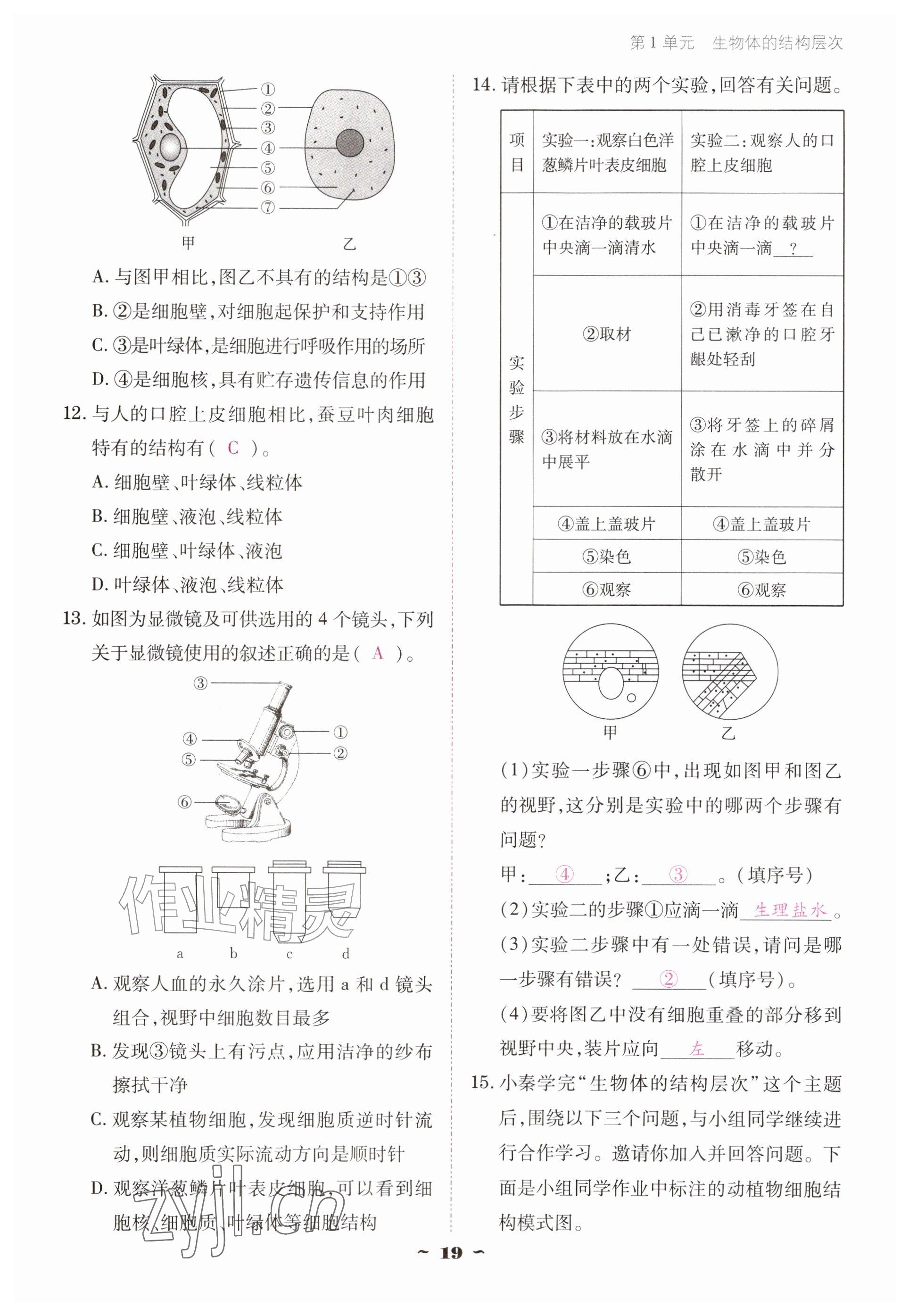 2026年云南省标准教辅优佳学案七年级历史上册人教版&nbsp;参考答案第19页