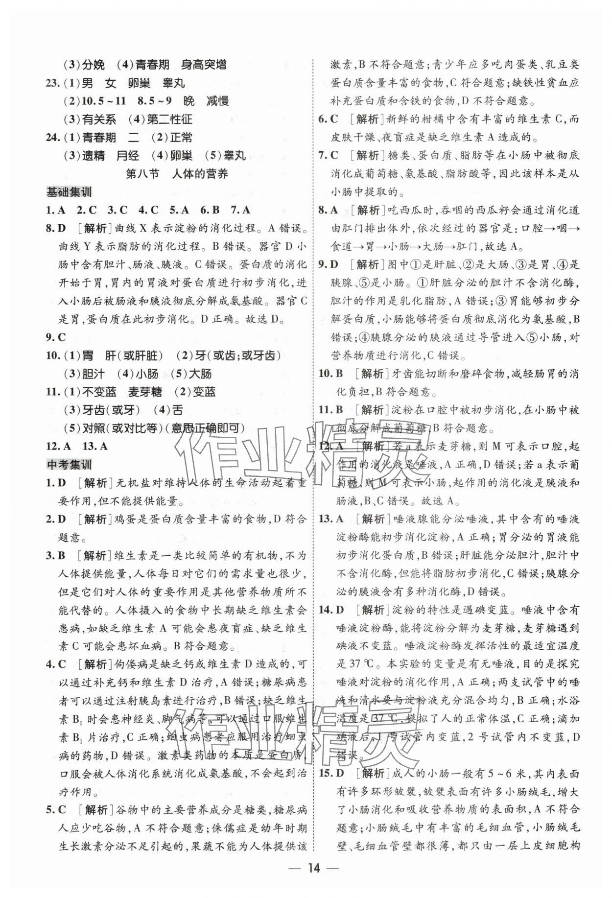 2024年中考123中考一轮总复习生物吉林专版&nbsp;参考答案第14页