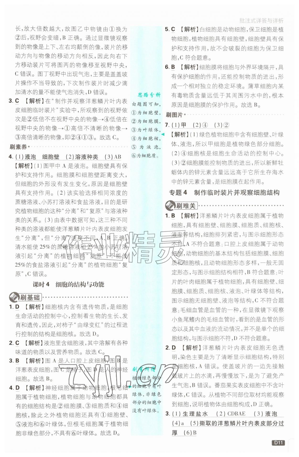 2026年初中必刷题七年级科学上册浙教版浙江专版&nbsp;参考答案第11页