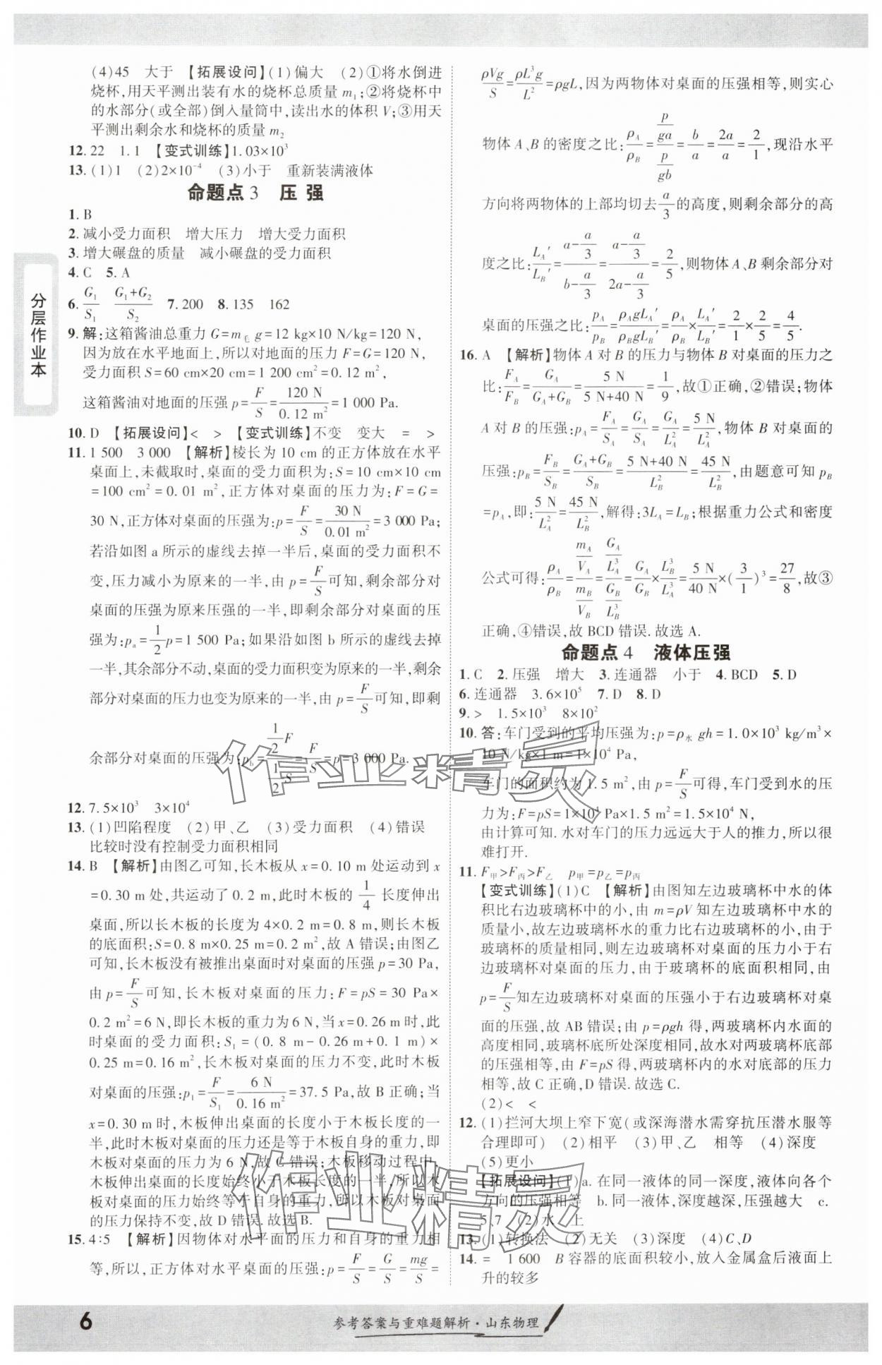 2025年一战成名考前新方案物理山东专版&nbsp;参考答案第6页