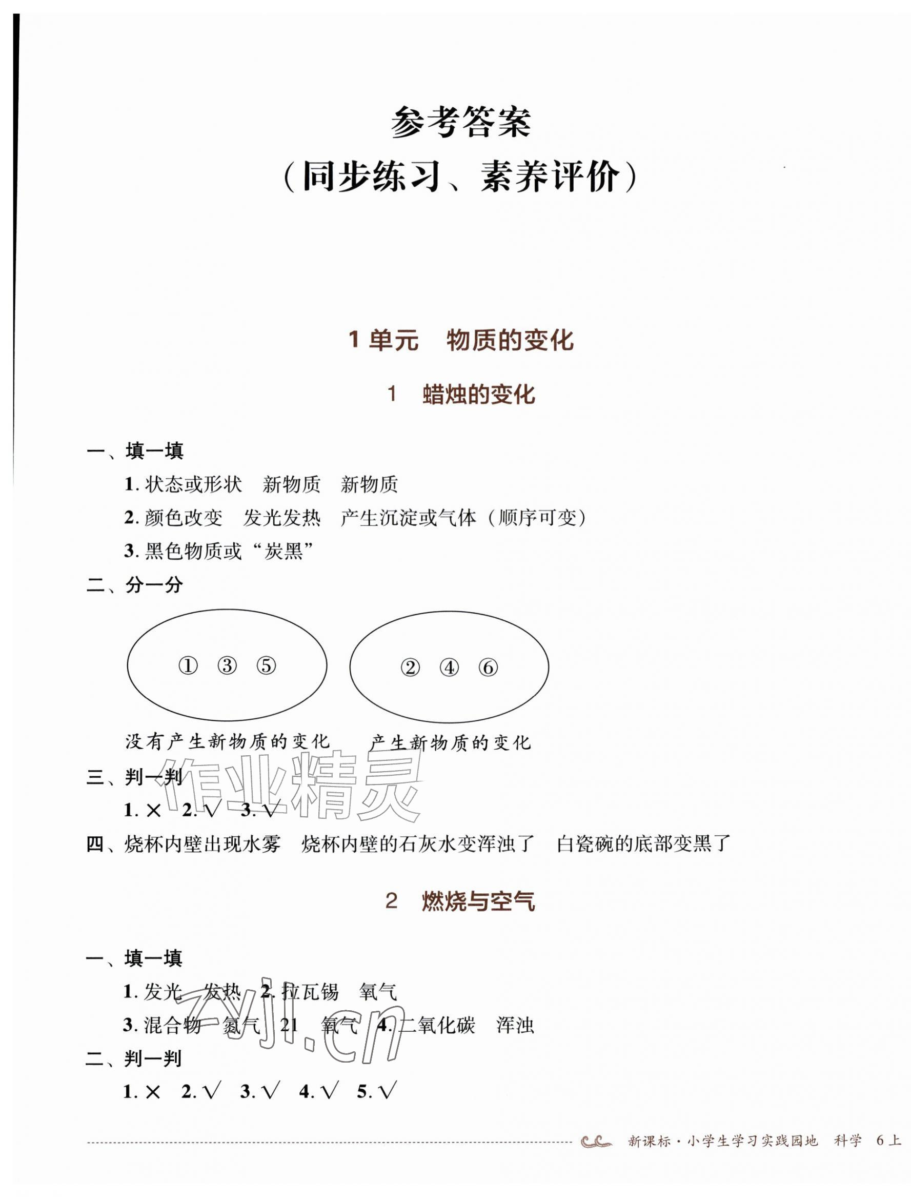 2026年学习实践园地六年级科学上册苏教版&nbsp;第1页
