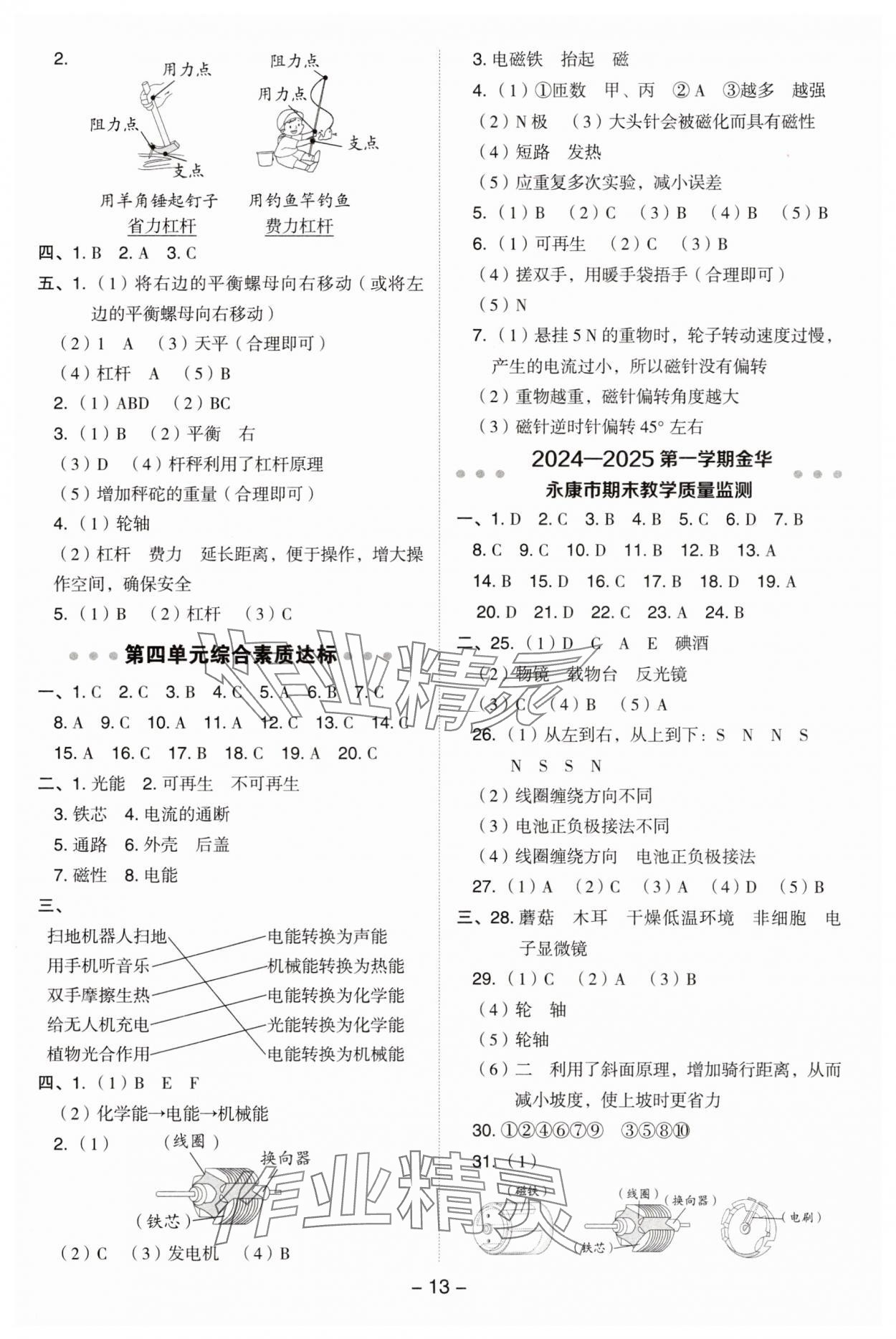 2025年综合应用创新题典中点六年级科学上册教科版&nbsp;参考答案第13页