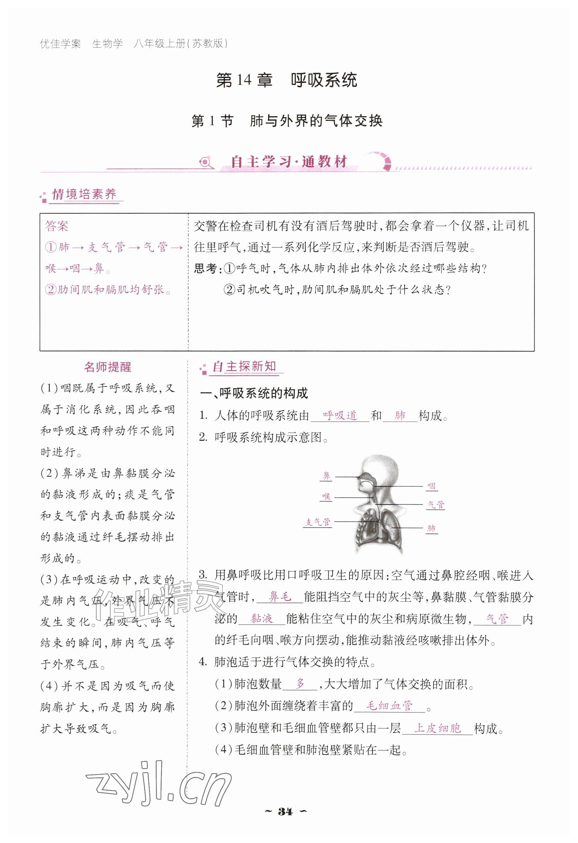 2026年优佳学案（云南）八年级生物上册苏教版&nbsp;参考答案第34页