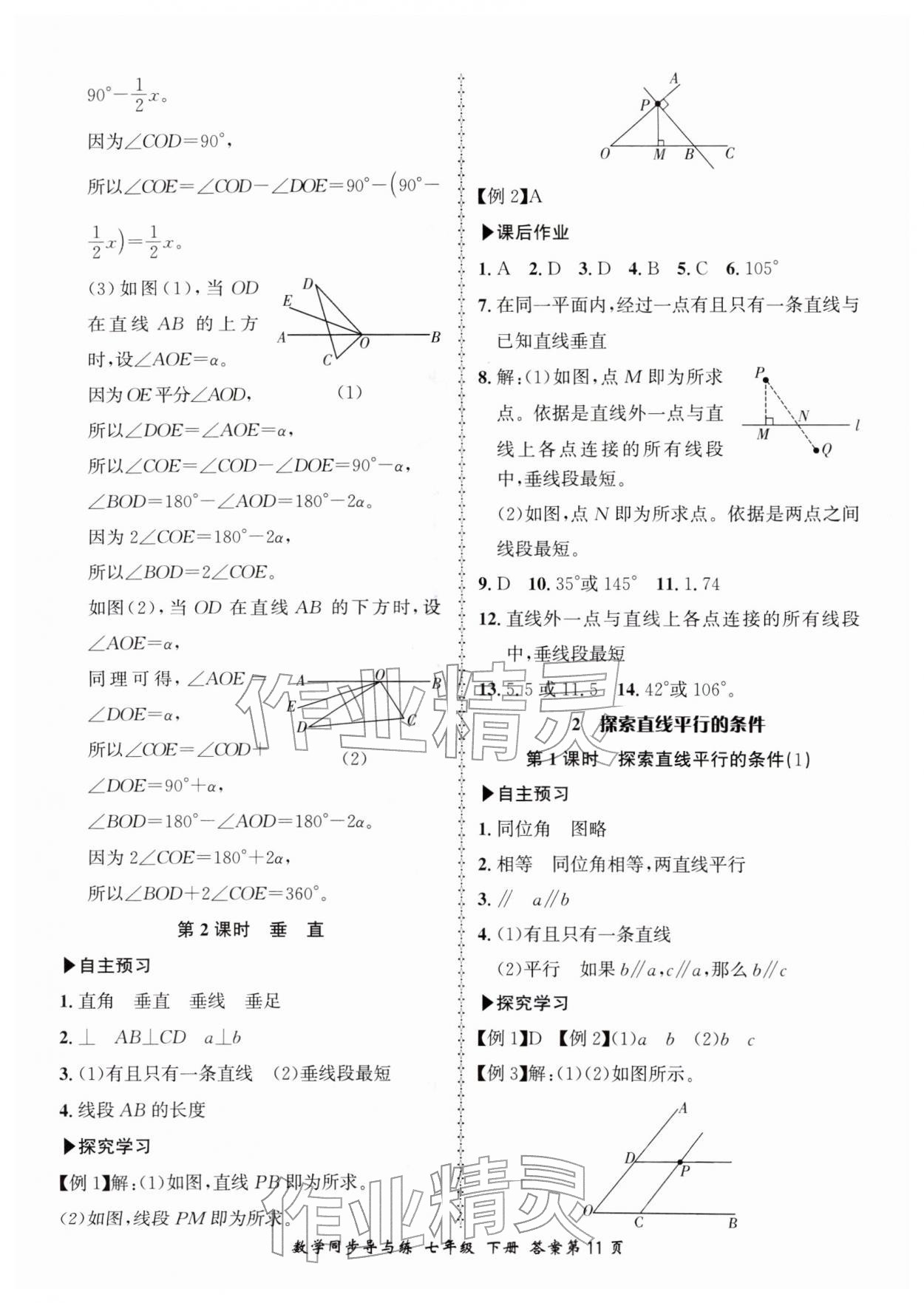 2026年新学案同步导与练七年级数学下册北师大版&nbsp;第11页