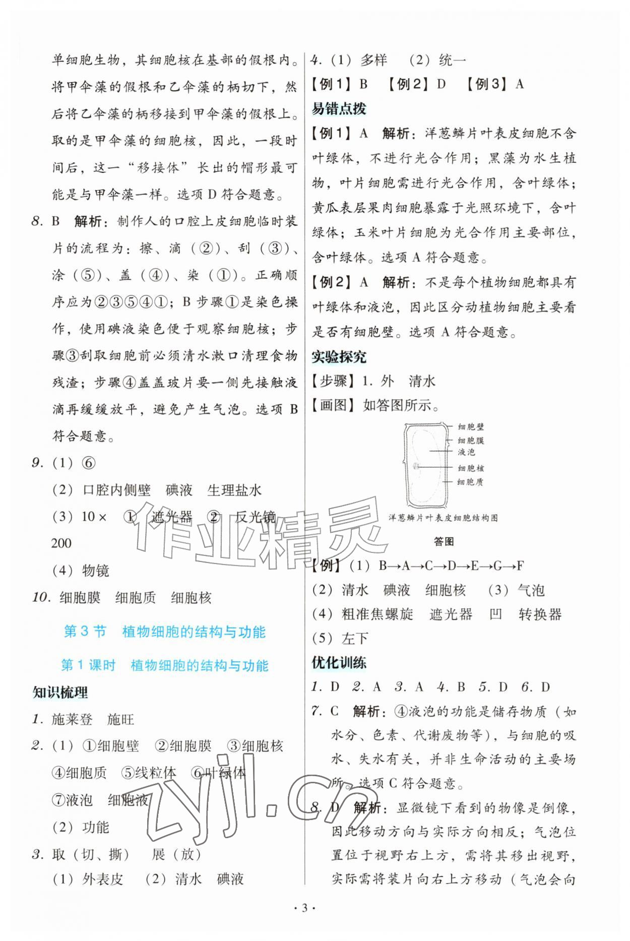 2026年金版学案同步优学智慧作业七年级生物上册苏教版&nbsp;第3页