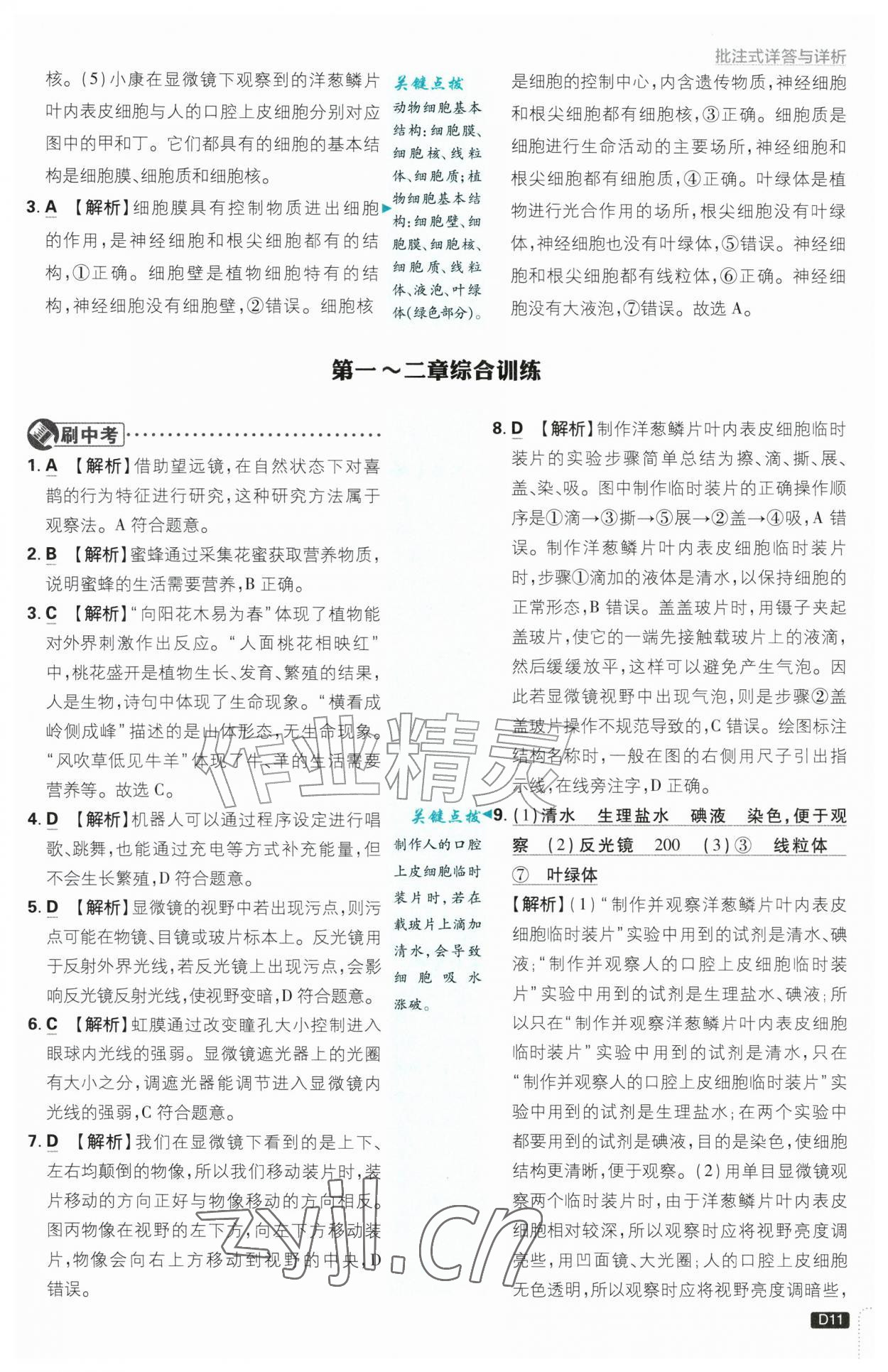 2026年初中必刷题七年级生物上册人教版&nbsp;第11页