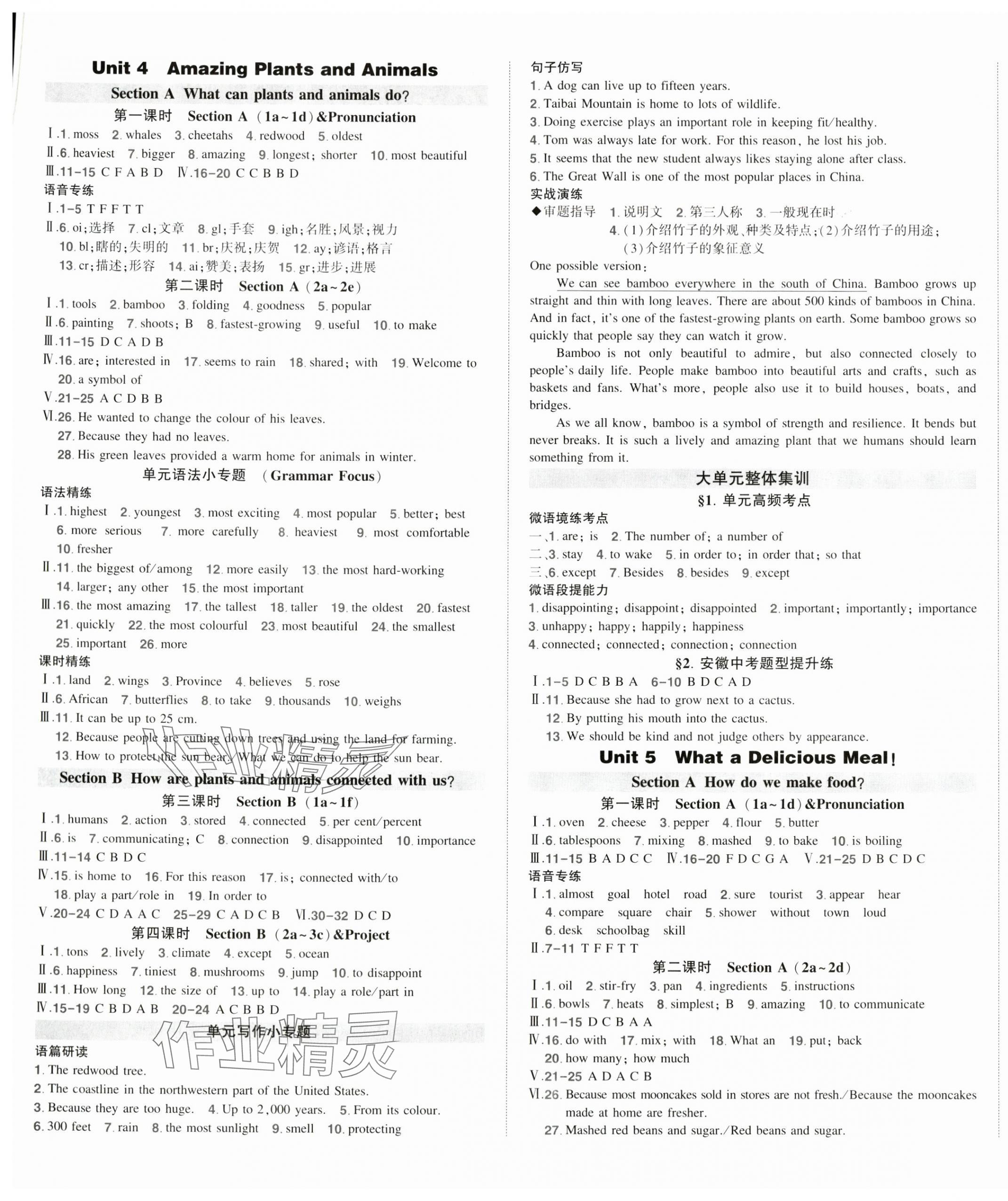 2025年状元成才路创优作业八年级英语上册人教版安徽专版&nbsp;第4页