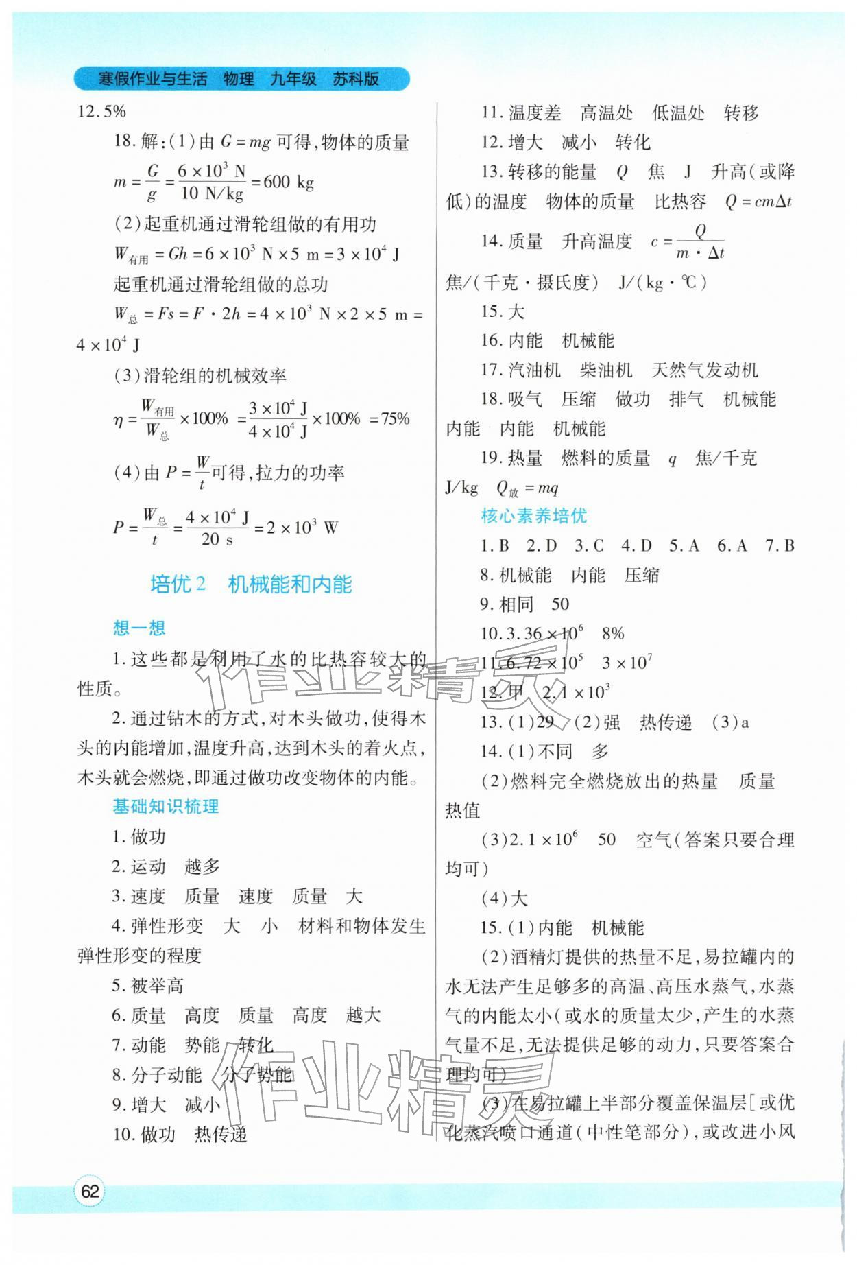 2026年寒假作业与生活陕西师范大学出版总社九年级物理苏科版&nbsp;第2页