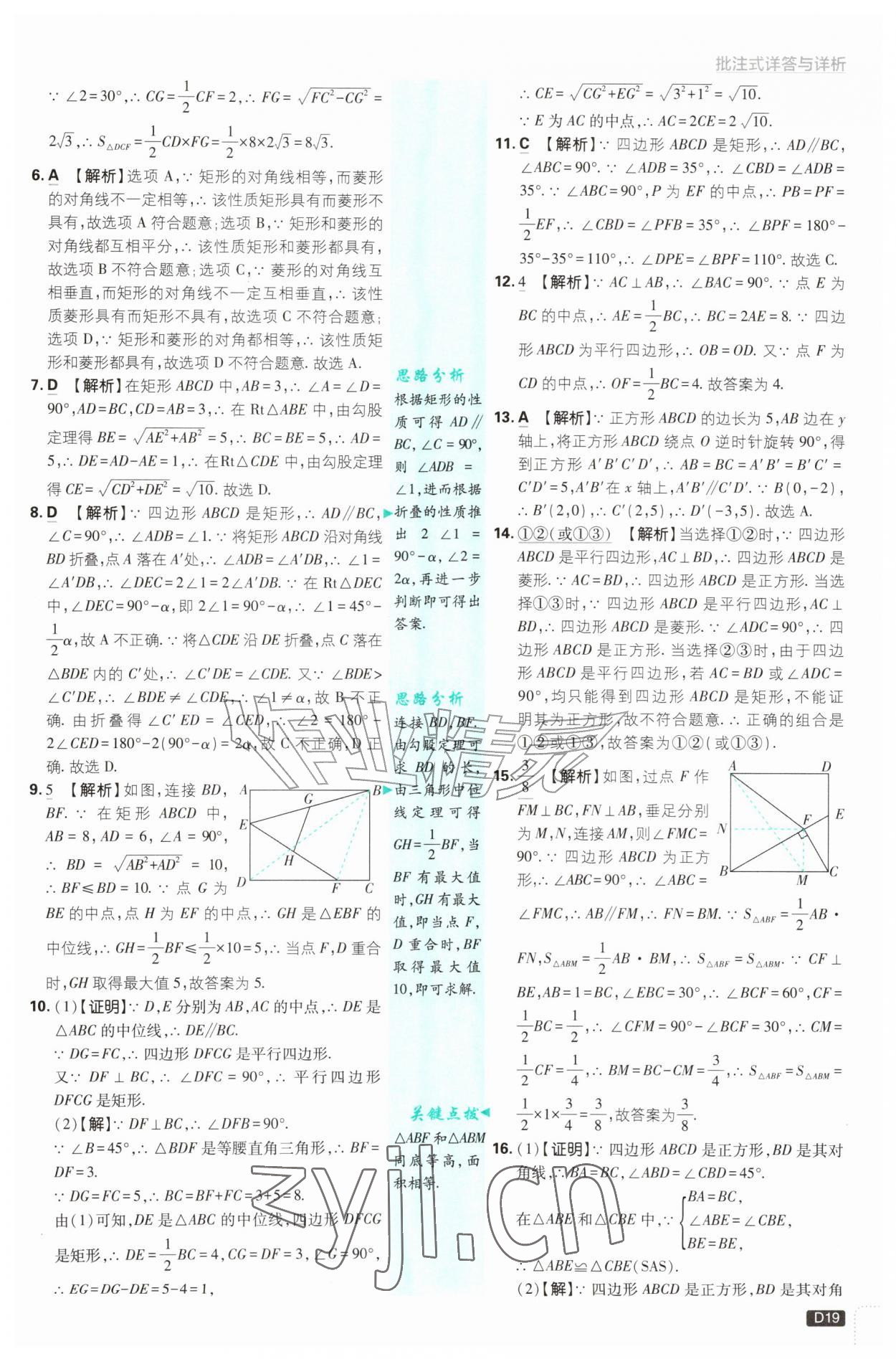 2026年初中必刷题九年级数学上册北师大版&nbsp;第19页