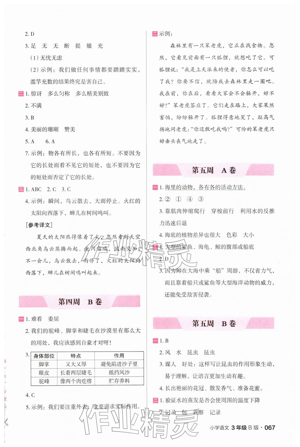 2026年木头马阅读小卷三年级语文人教版B版&nbsp;第3页