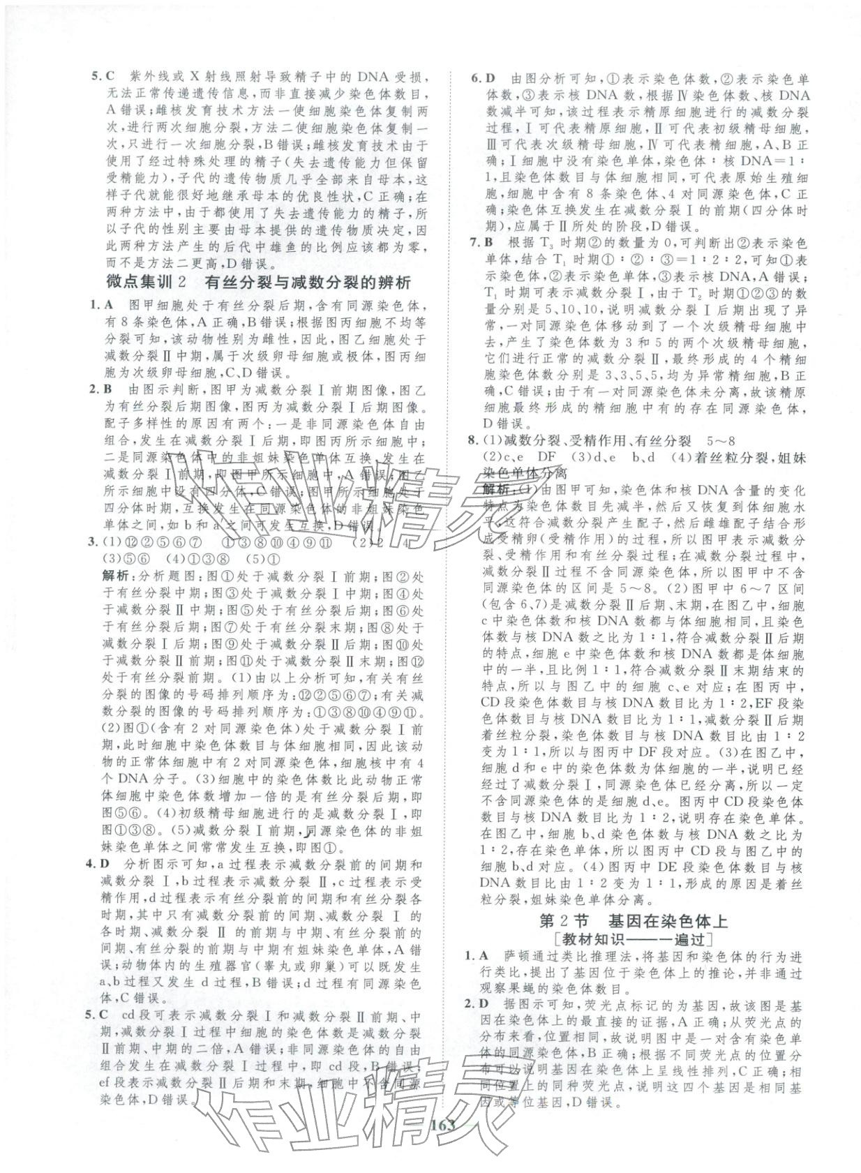 2025年三维设计学思用精练高中生物必修第二册&nbsp;第13页