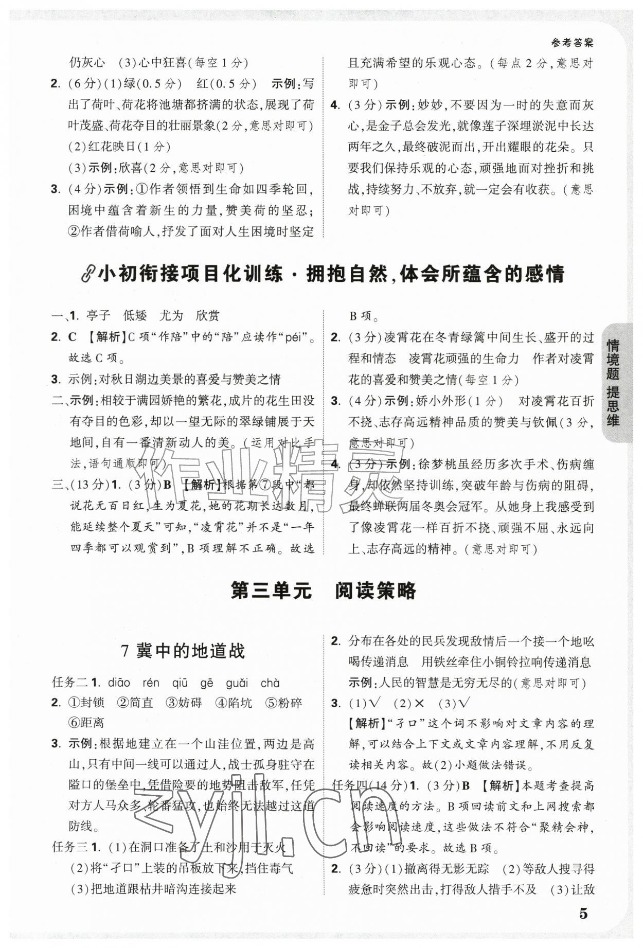 2026年情境题提思维五年级语文上册人教版&nbsp;参考答案第5页