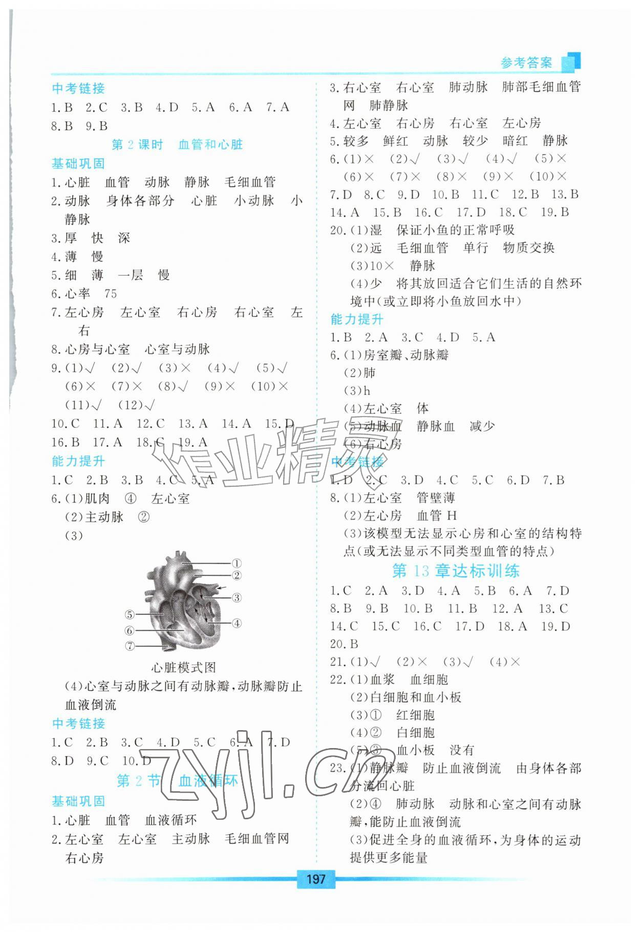 2026年学习检测八年级生物上册苏教版&nbsp;第3页