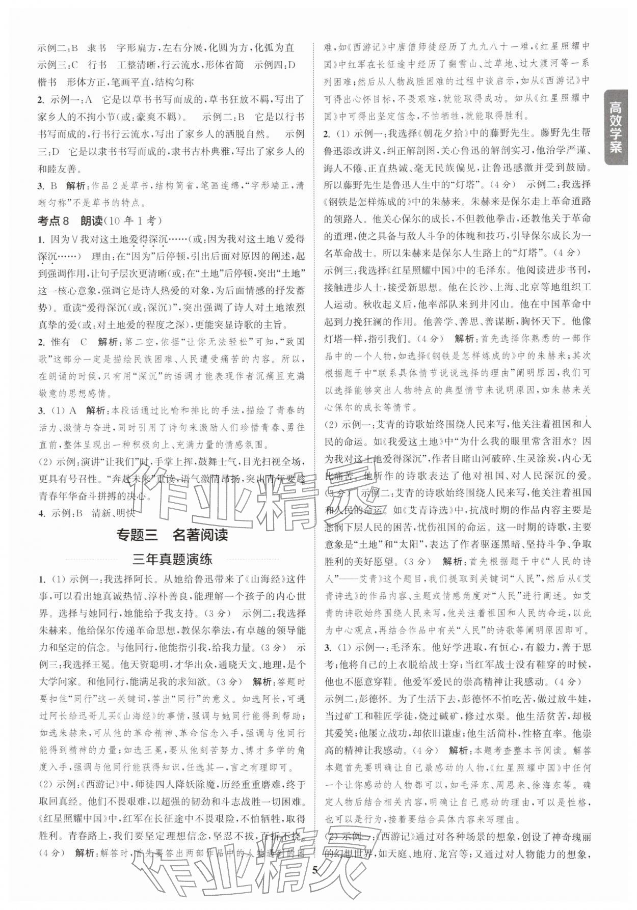 2026年課時作業(yè)本中考復(fù)習(xí)語文&nbsp;參考答案第4頁