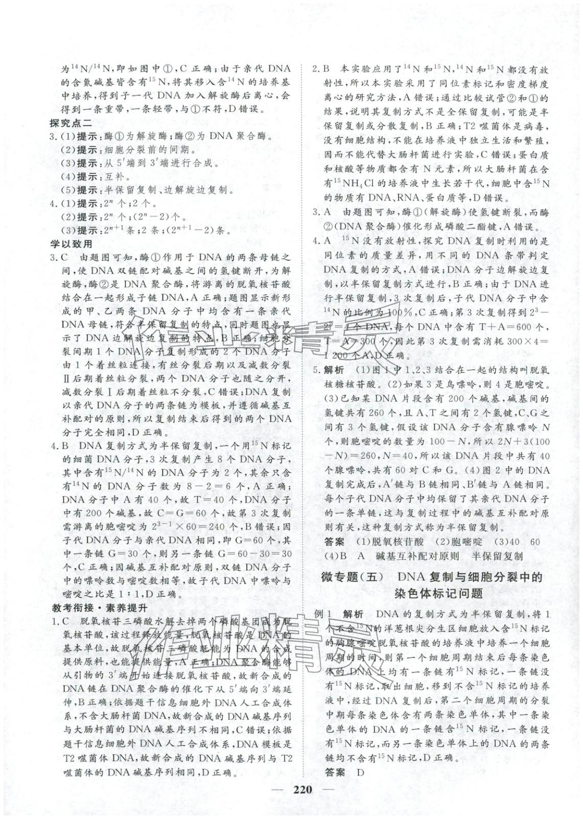 2025年维课金版高中生物必修第二册&nbsp;第15页