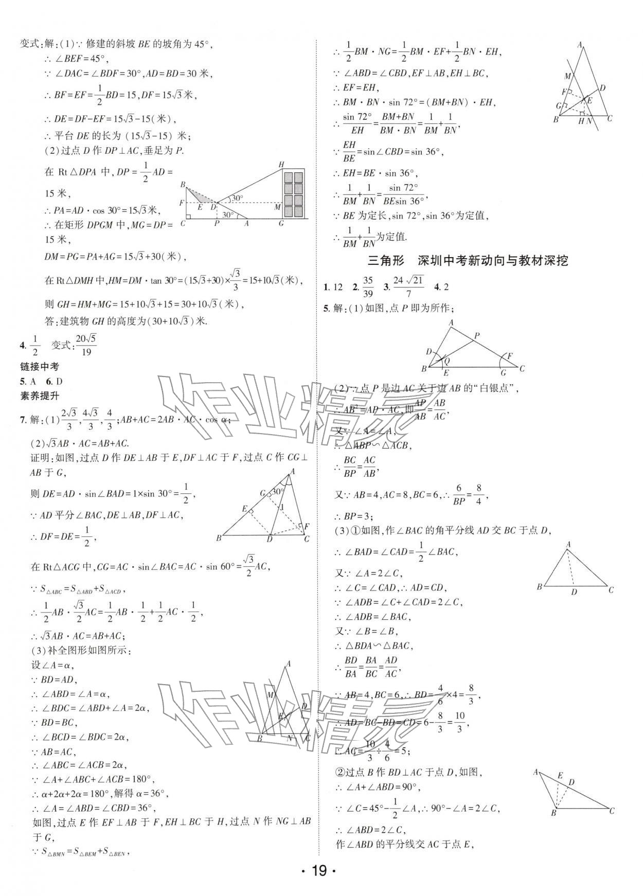 2026年名师导航中考总复习数学中考深圳专版&nbsp;第19页