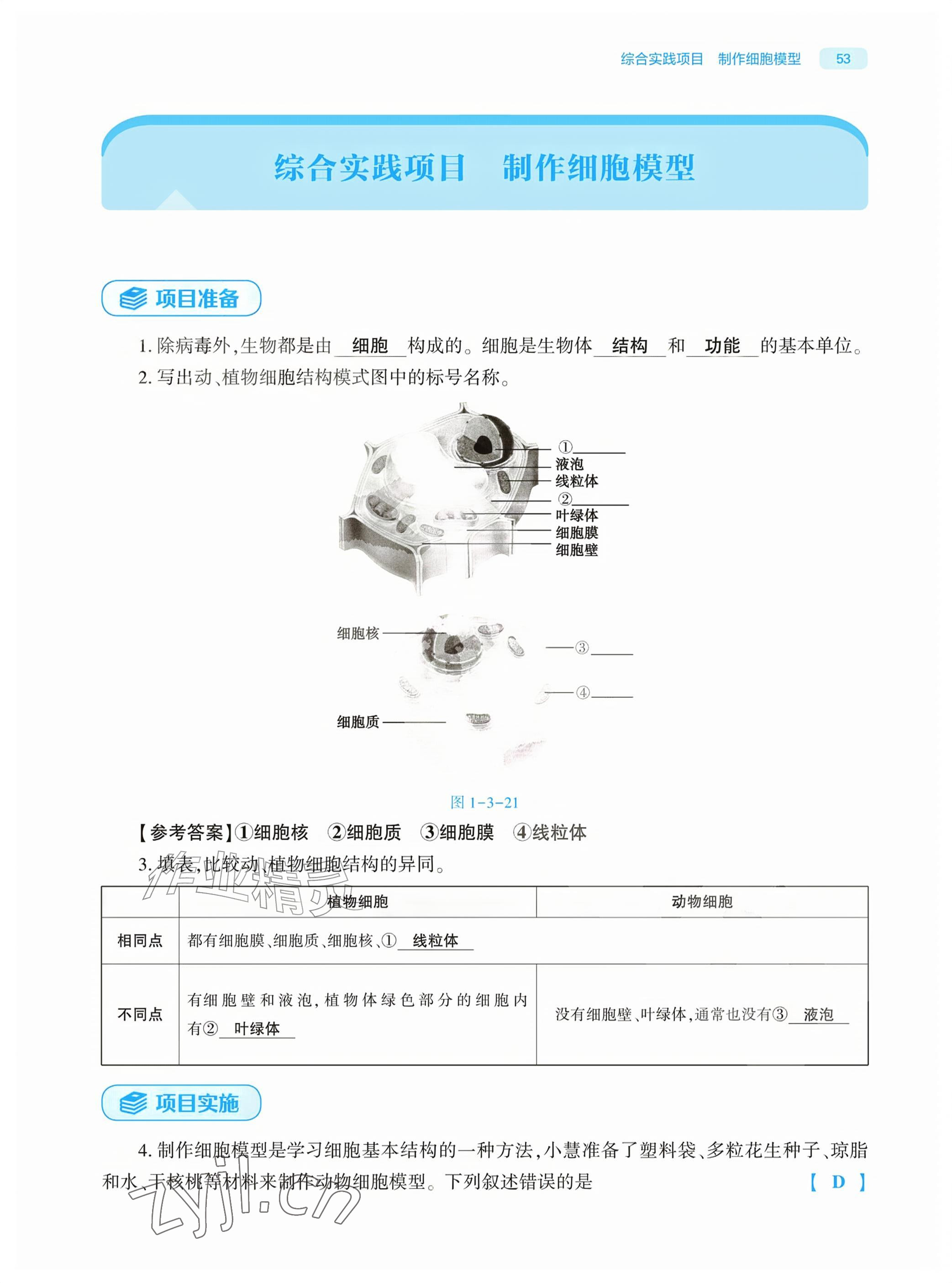 2026年基础训练大象出版社七年级生物上册人教版&nbsp;参考答案第53页