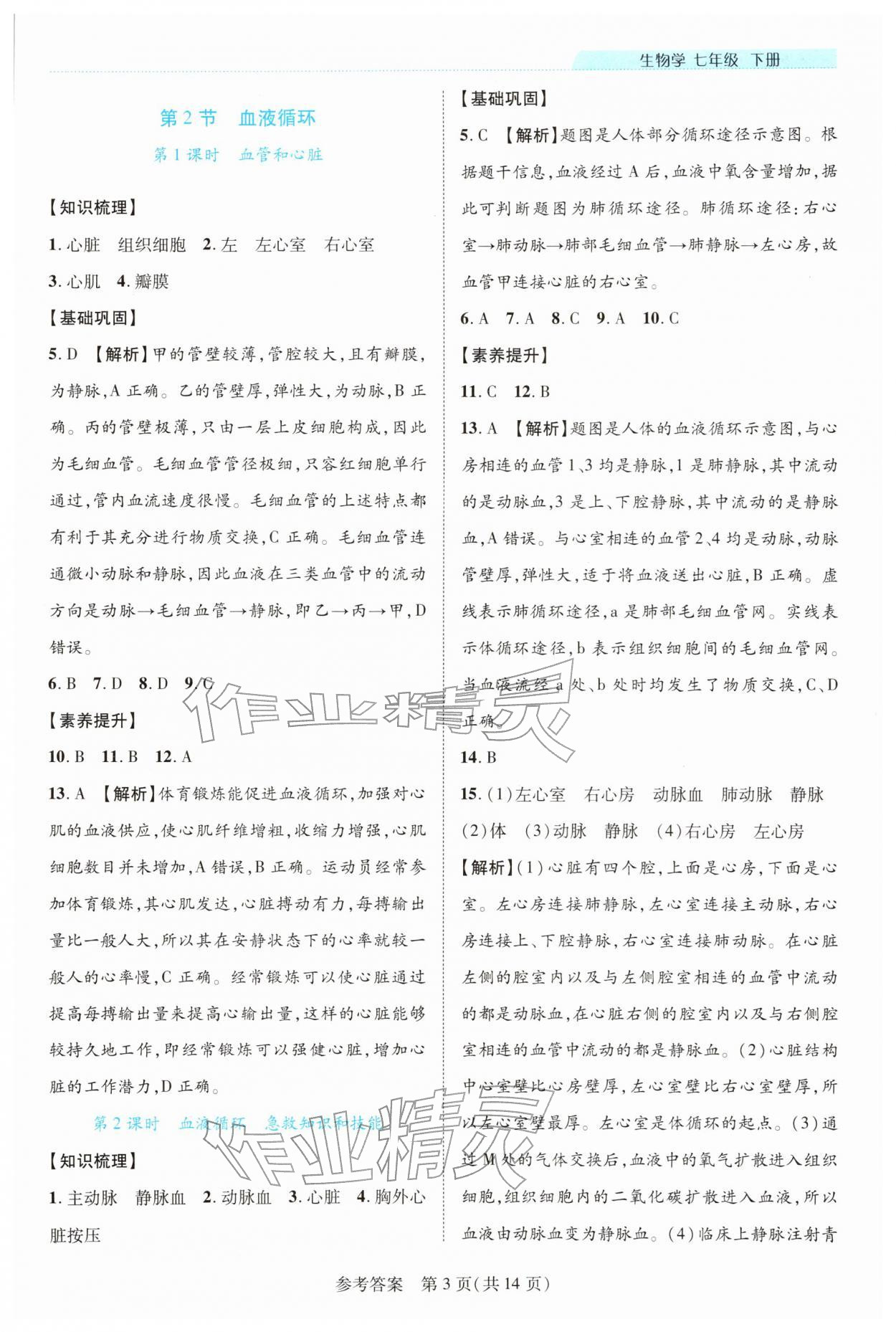 2026年新课程同步学案七年级生物下册北师大版&nbsp;第3页