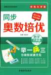 2024年同步奧數(shù)培優(yōu)六年級數(shù)學(xué)全一冊人教版