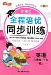 2024年全程培優(yōu)同步訓練六年級英語下冊人教版