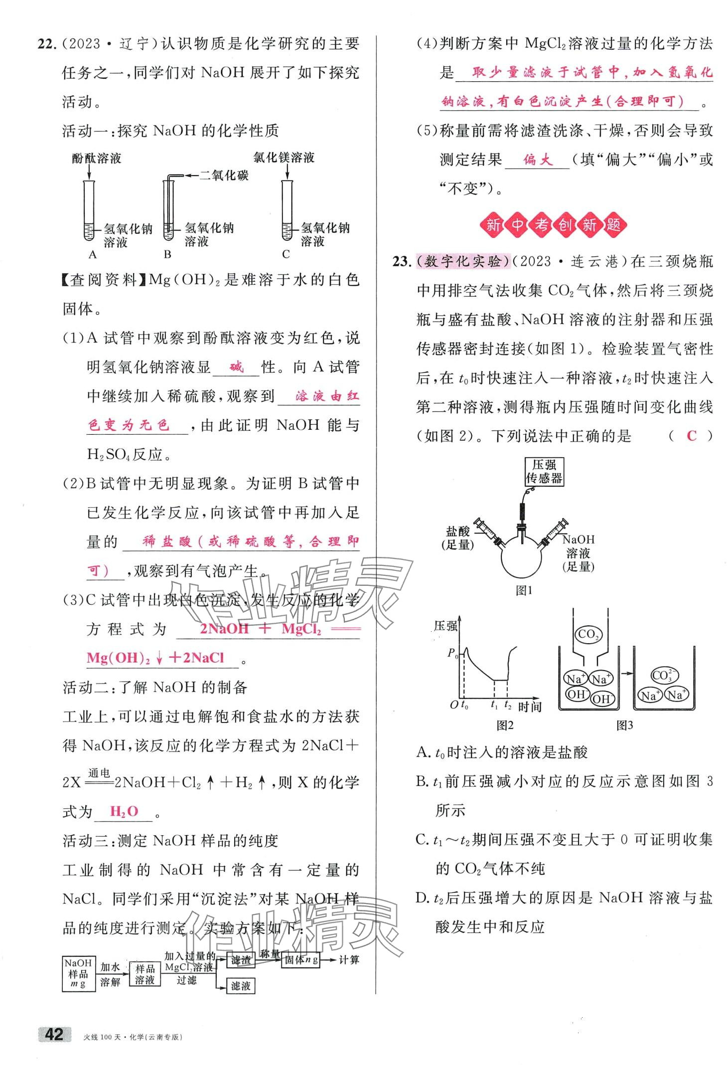 2024年火线100天化学中考云南专版&nbsp;第42页