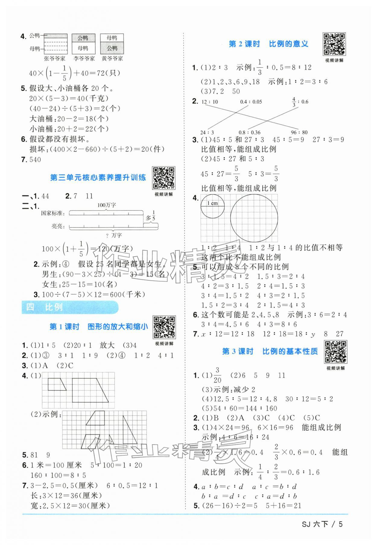 2026年阳光同学课时优化作业六年级数学下册苏教版&nbsp;参考答案第5页