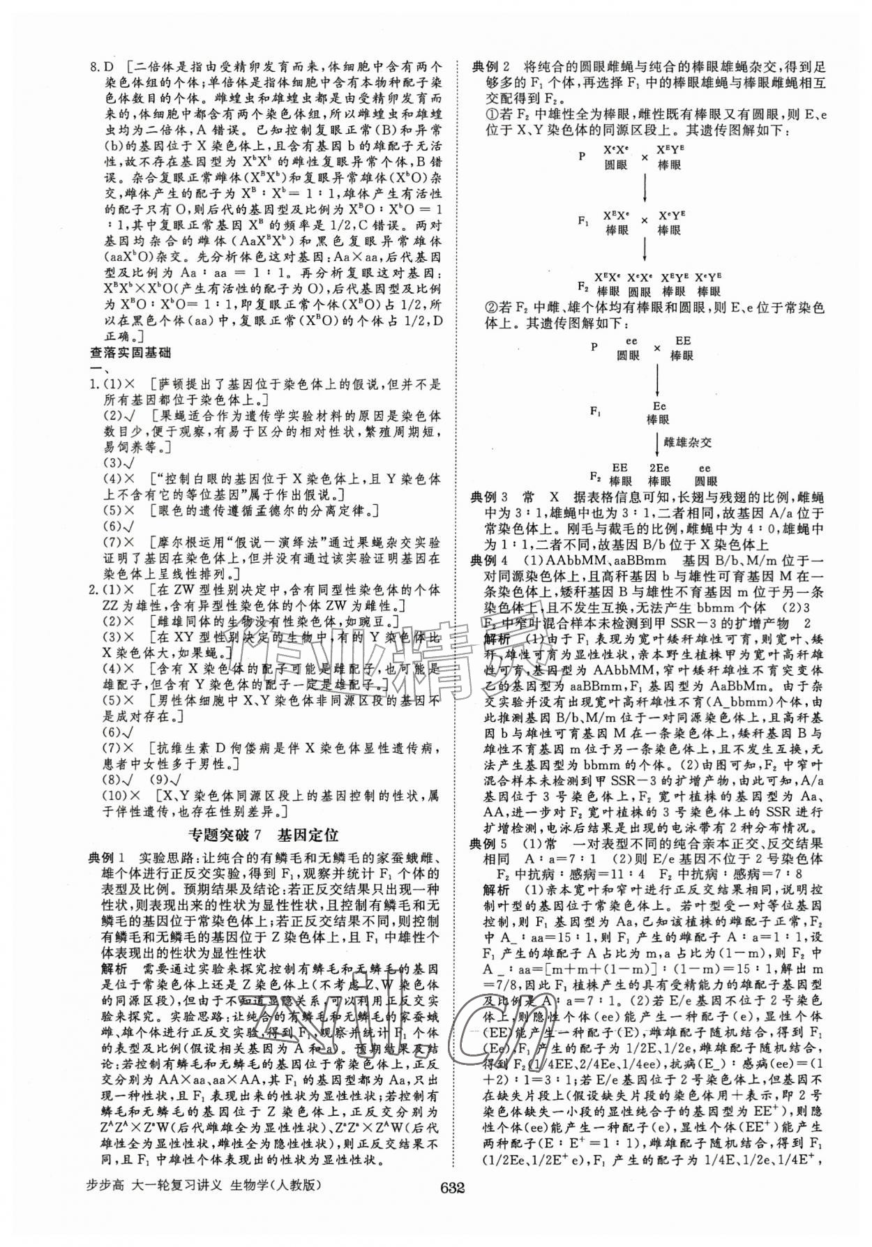 2026年步步高大一轮复习讲义高中生物人教版&nbsp;第24页