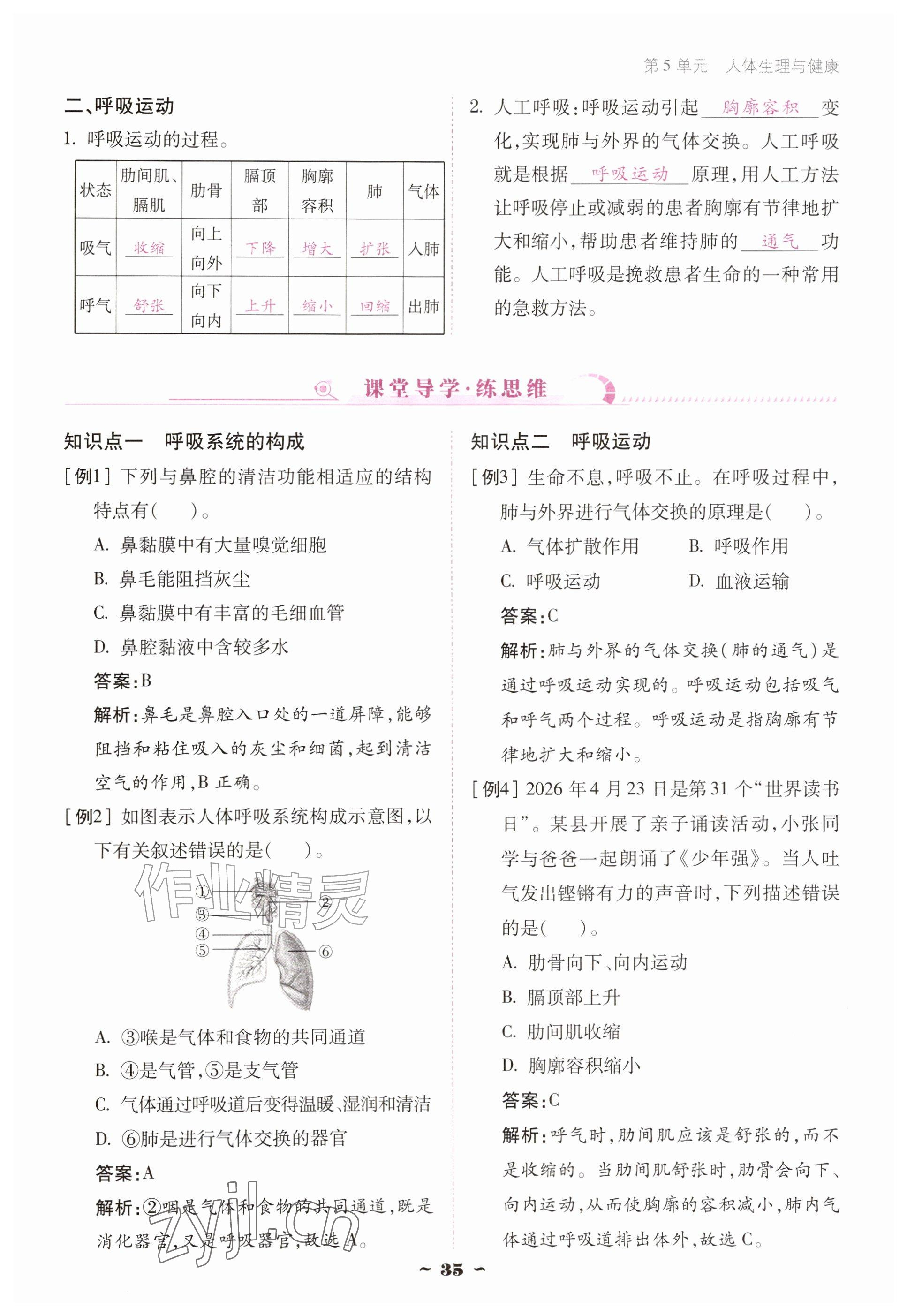 2026年优佳学案（云南）八年级生物上册苏教版&nbsp;参考答案第35页
