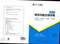 2024年初中知識(shí)與能力測(cè)試卷九年級(jí)化學(xué)下冊(cè)人教版